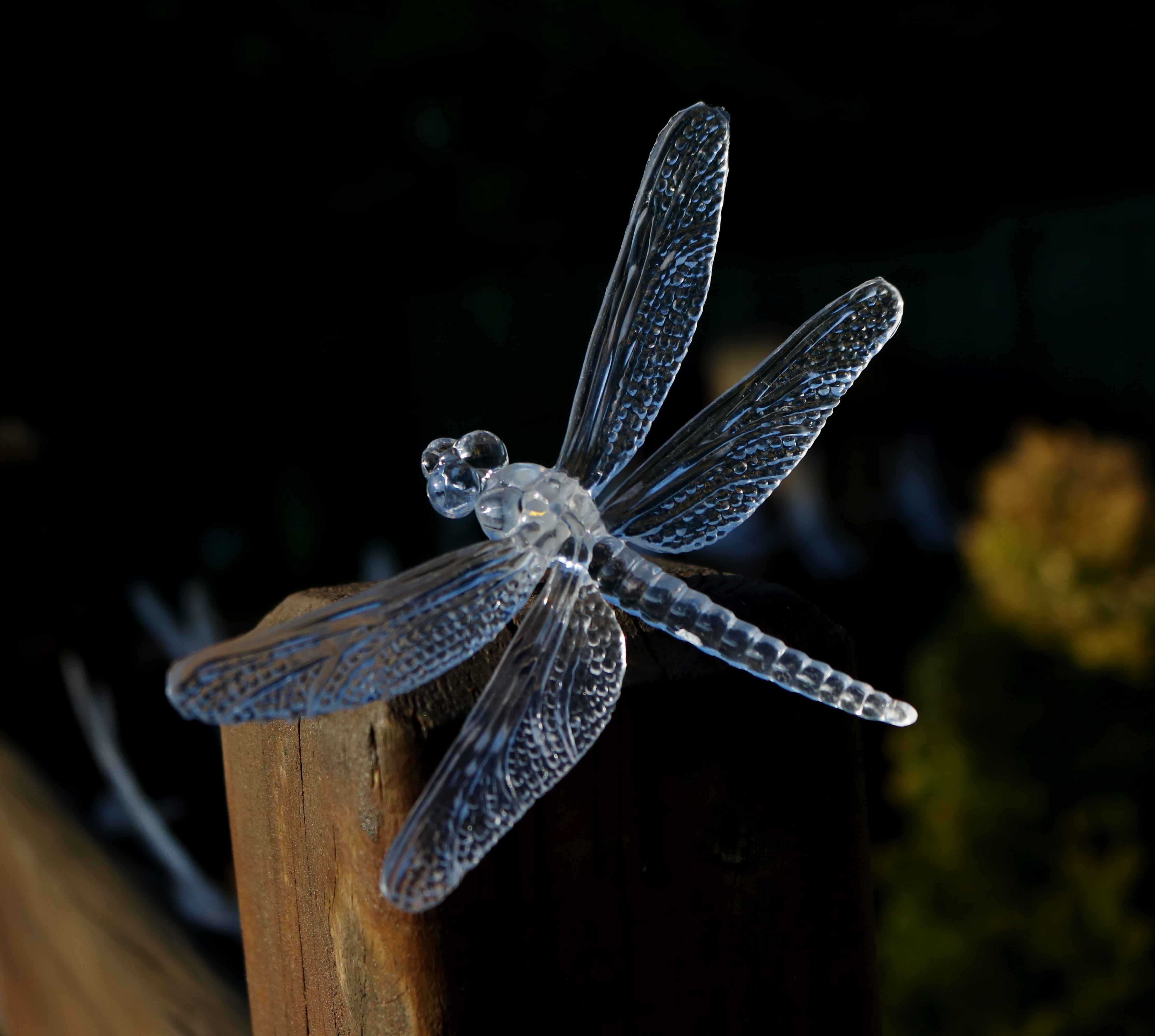 zoology, Dragon Fly, focus on foreground, 4K, animals in the wild, solar-powered, one animal, animal body part, no people, nature, light, dragonfly, solar, HD Wallpaper