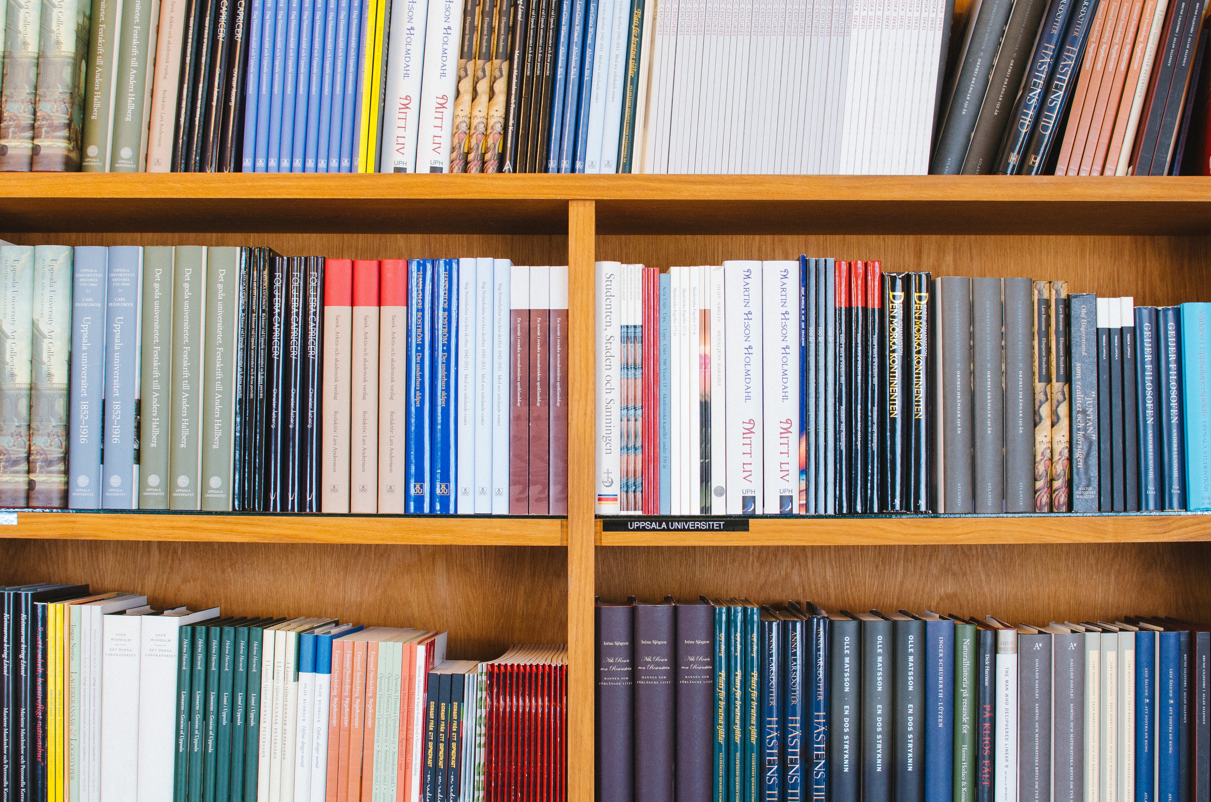education, in a row, abundance, large group of objects, bookstore, arrangement, book, variation, bookshelf, collection, library, no people, shelf, spine, HD Wallpaper