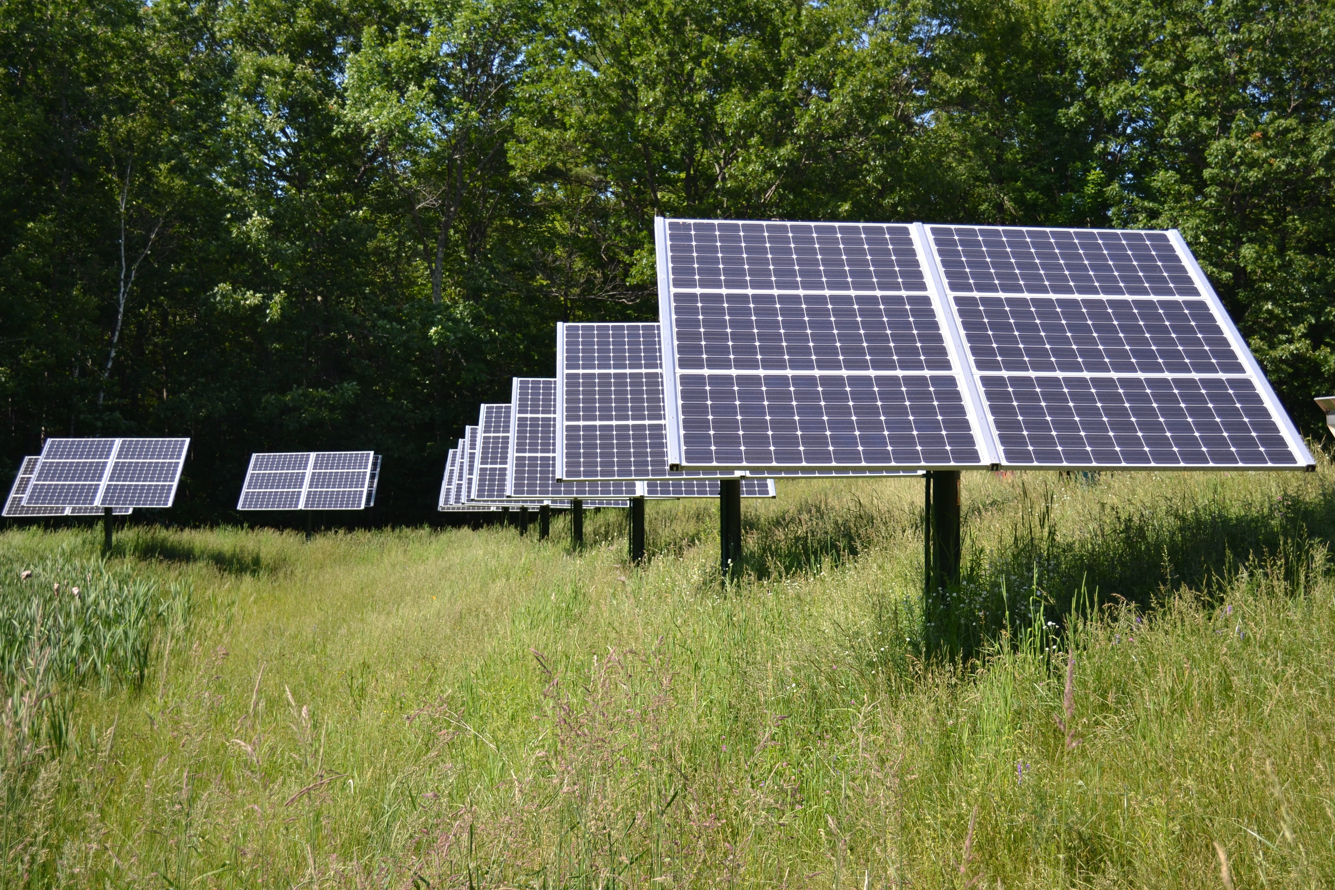 alternative, alternative energy, set, generator, person, nature, solar, field, tree, environment, electrical, source, 4K, sun, fuel and power generation, HD Wallpaper