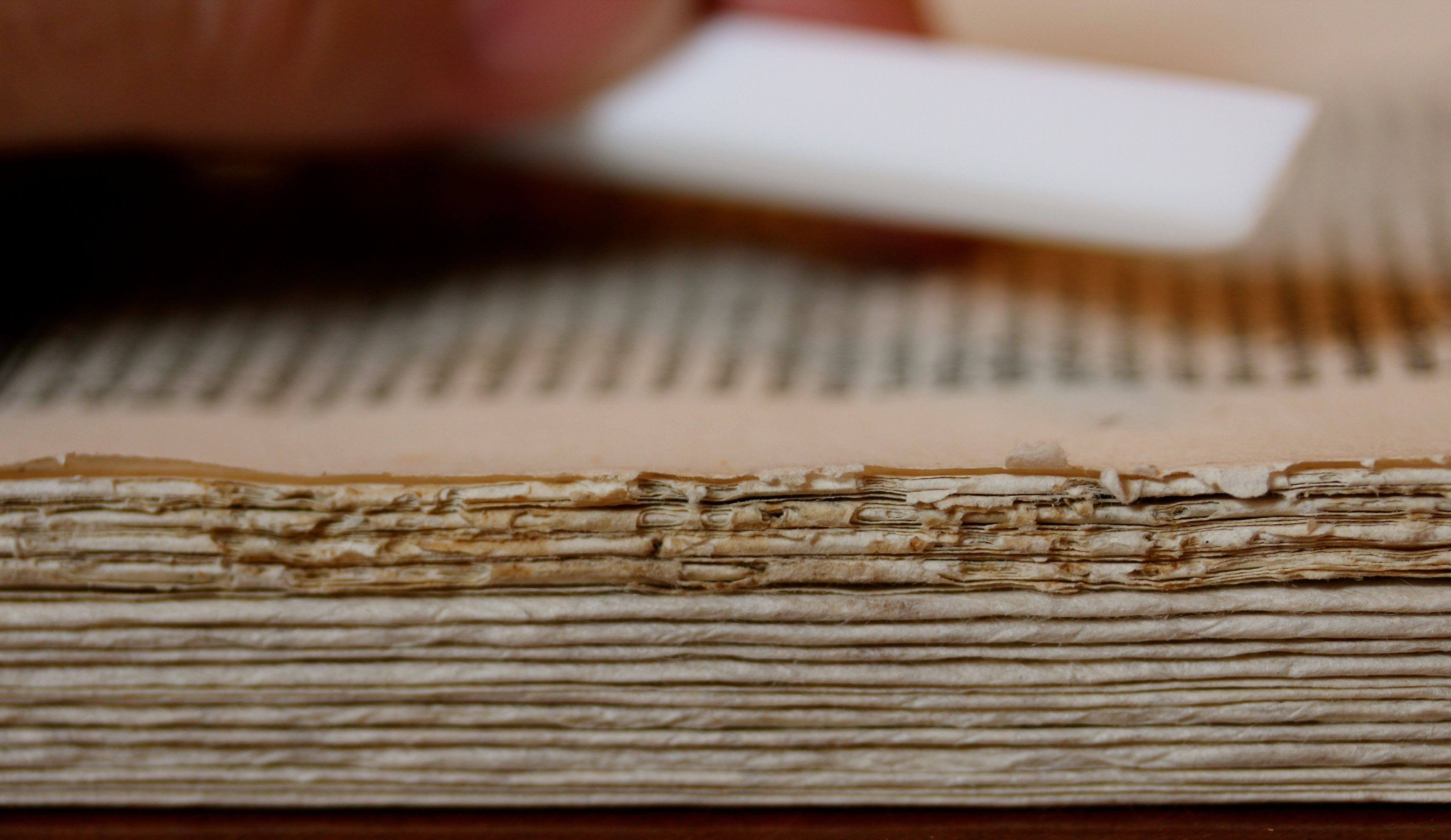 wood, badazzbydesign, pattern, coloring history, no people, de divina proportione, page, restoration, antique, preparation, close-up, hoboken, selective focus, HD Wallpaper