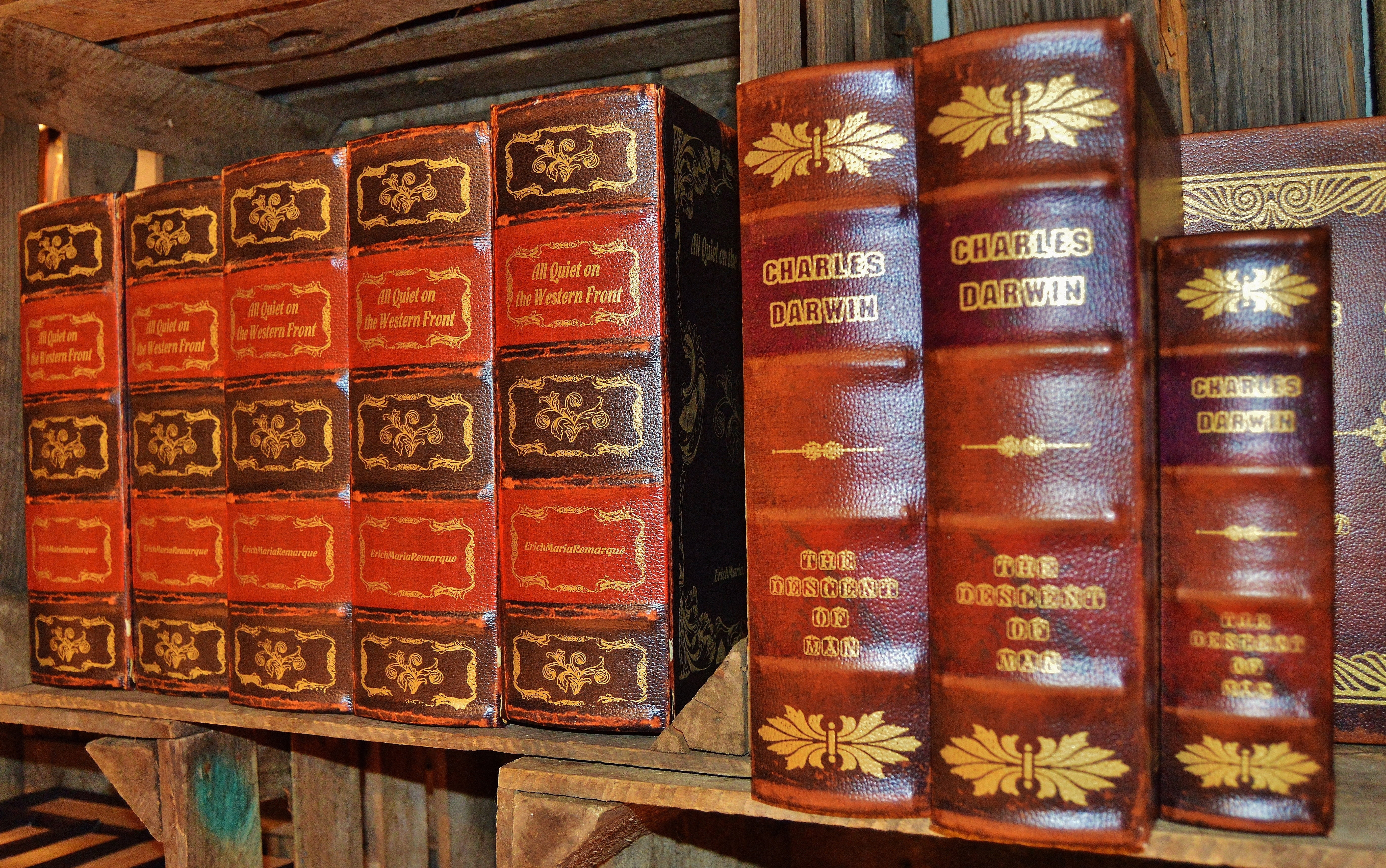 leather covers, antiquariat, spine, still life, bookshelf, 5K, shelf, variation, box, antique, large group of objects, indoors, text, order, brown, in a row, HD Wallpaper