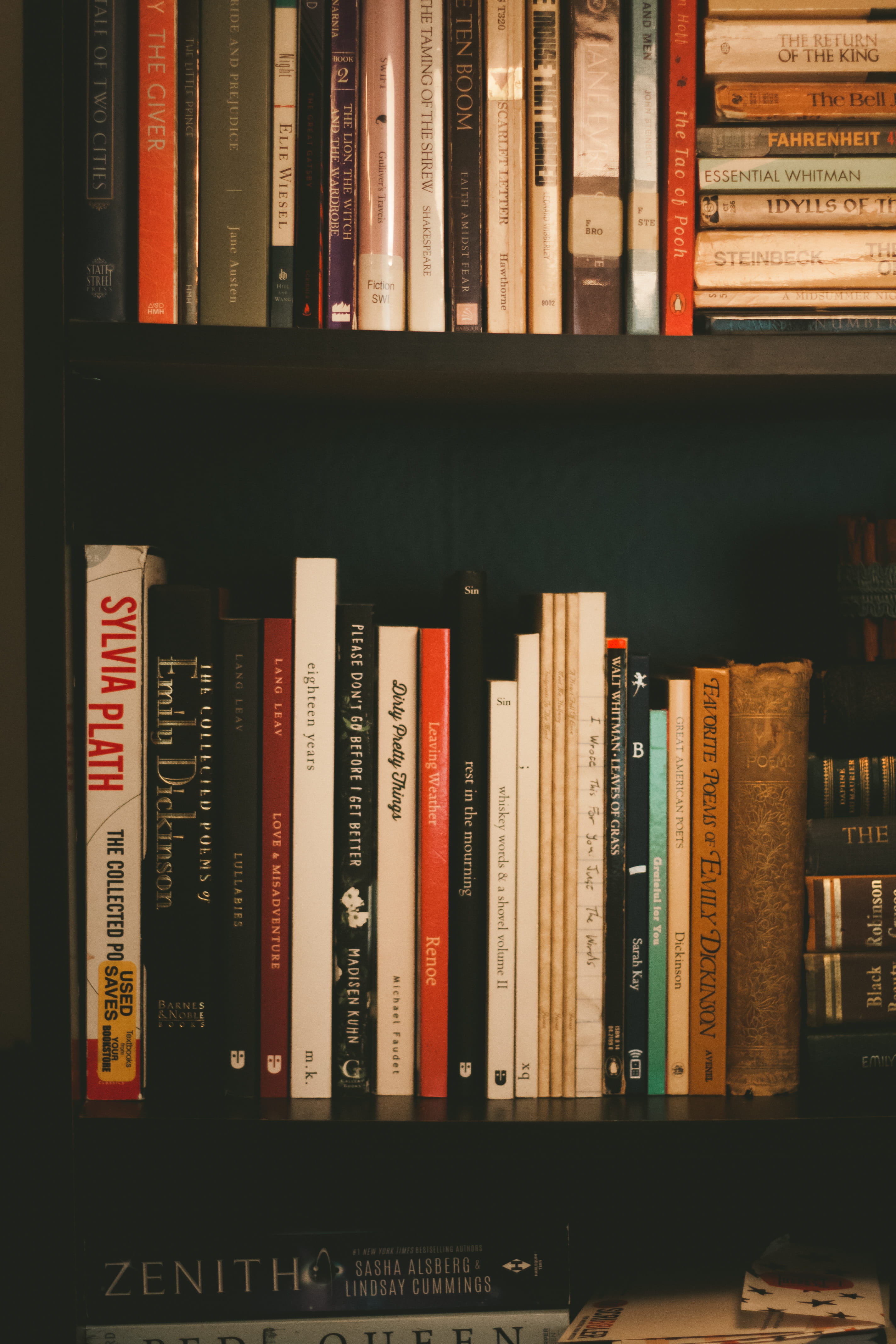 collection, education, paperback, emily dikenson, wisdom, library, shop, green, 4K, reading, indoors, book, shelf, textbook, data, research, literature, Phone HD Wallpaper