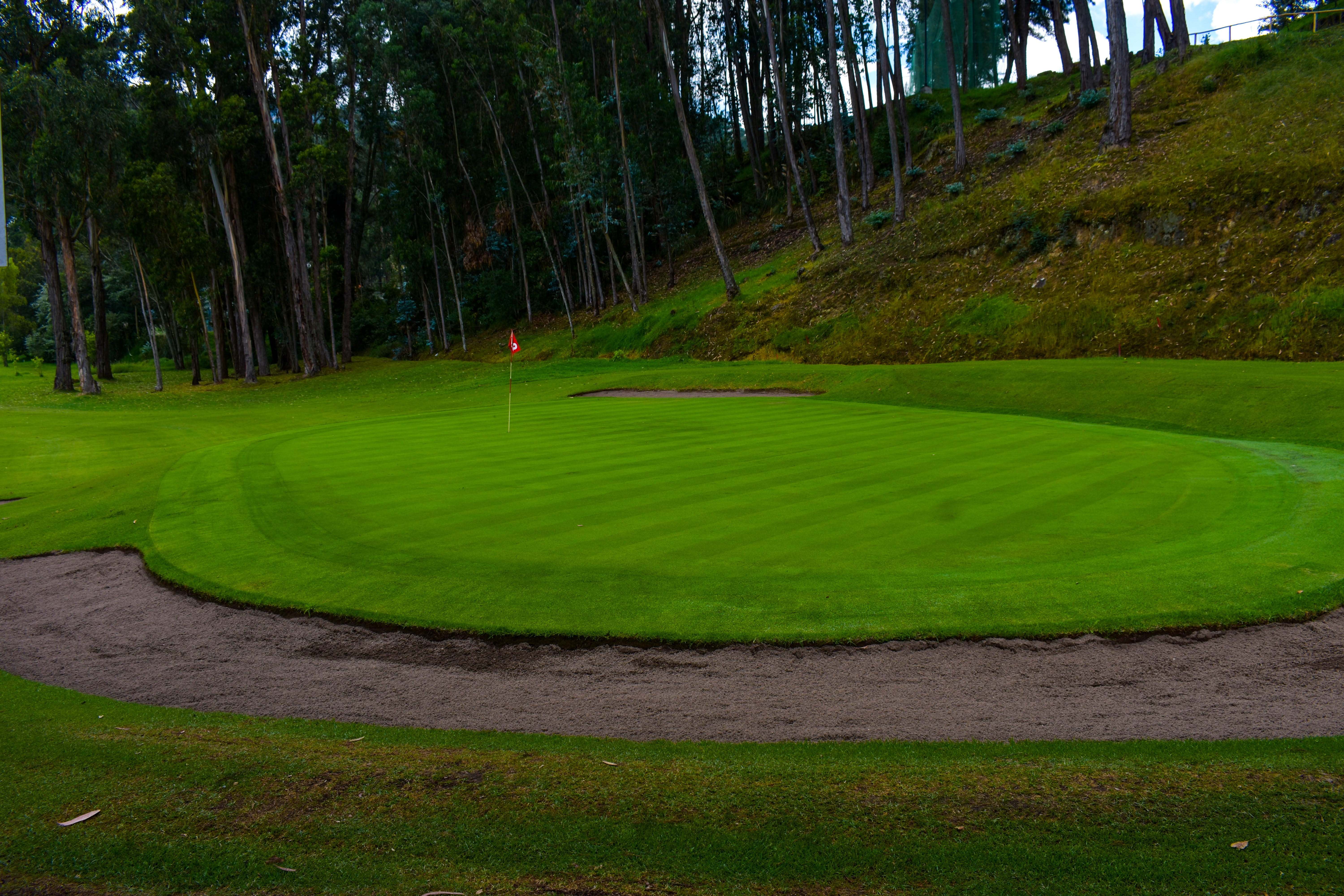 5K, golf, lawn, plain, beauty in nature, green color, tranquility, plant, growth, gardening, land, tranquil scene, day, leisure activity, sport, green, HD Wallpaper