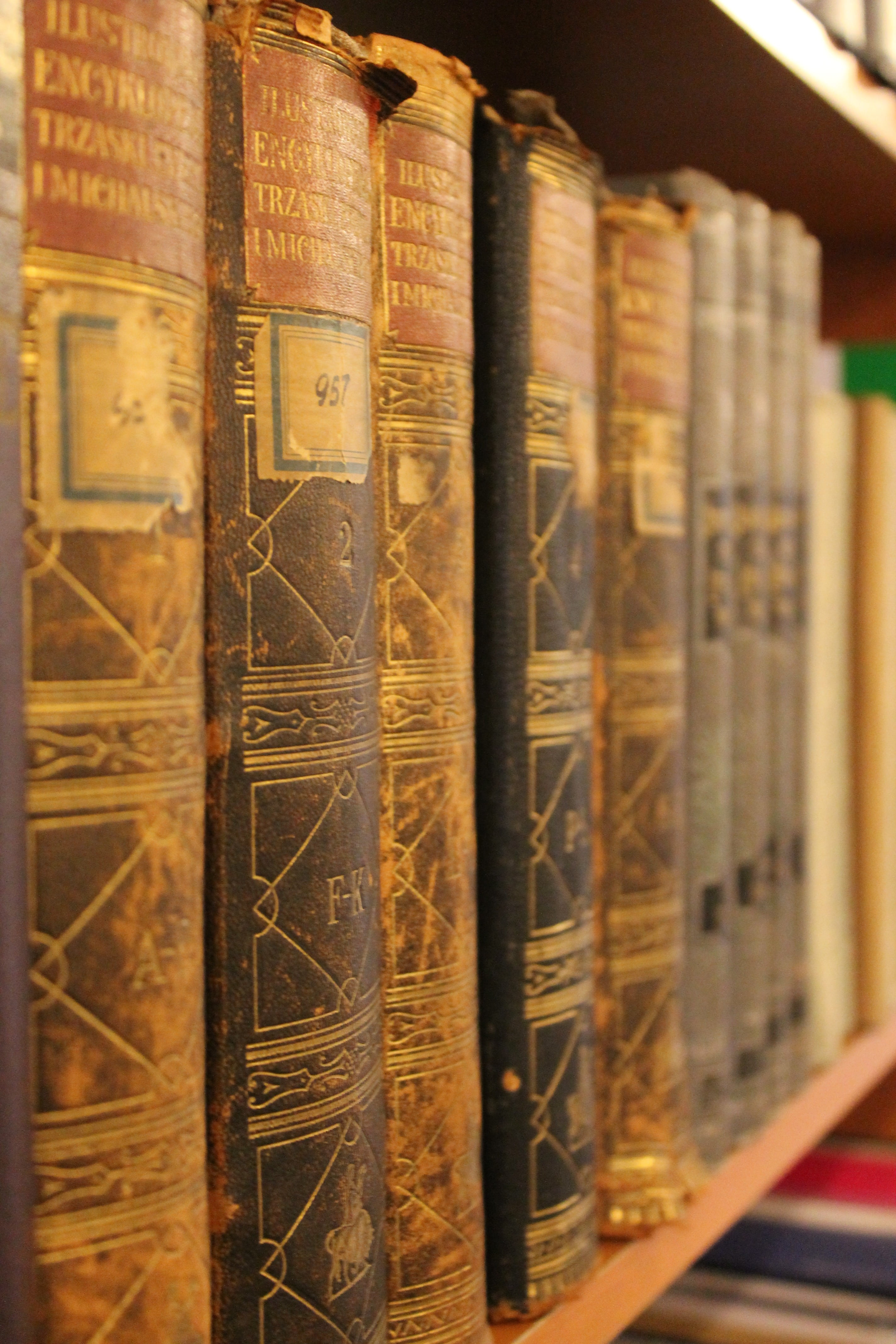 book Spine, selective focus, photo, large group of objects, text, book, antique, indoors, reading, learning, title, in a row, books, textbook, literature, Phone HD Wallpaper