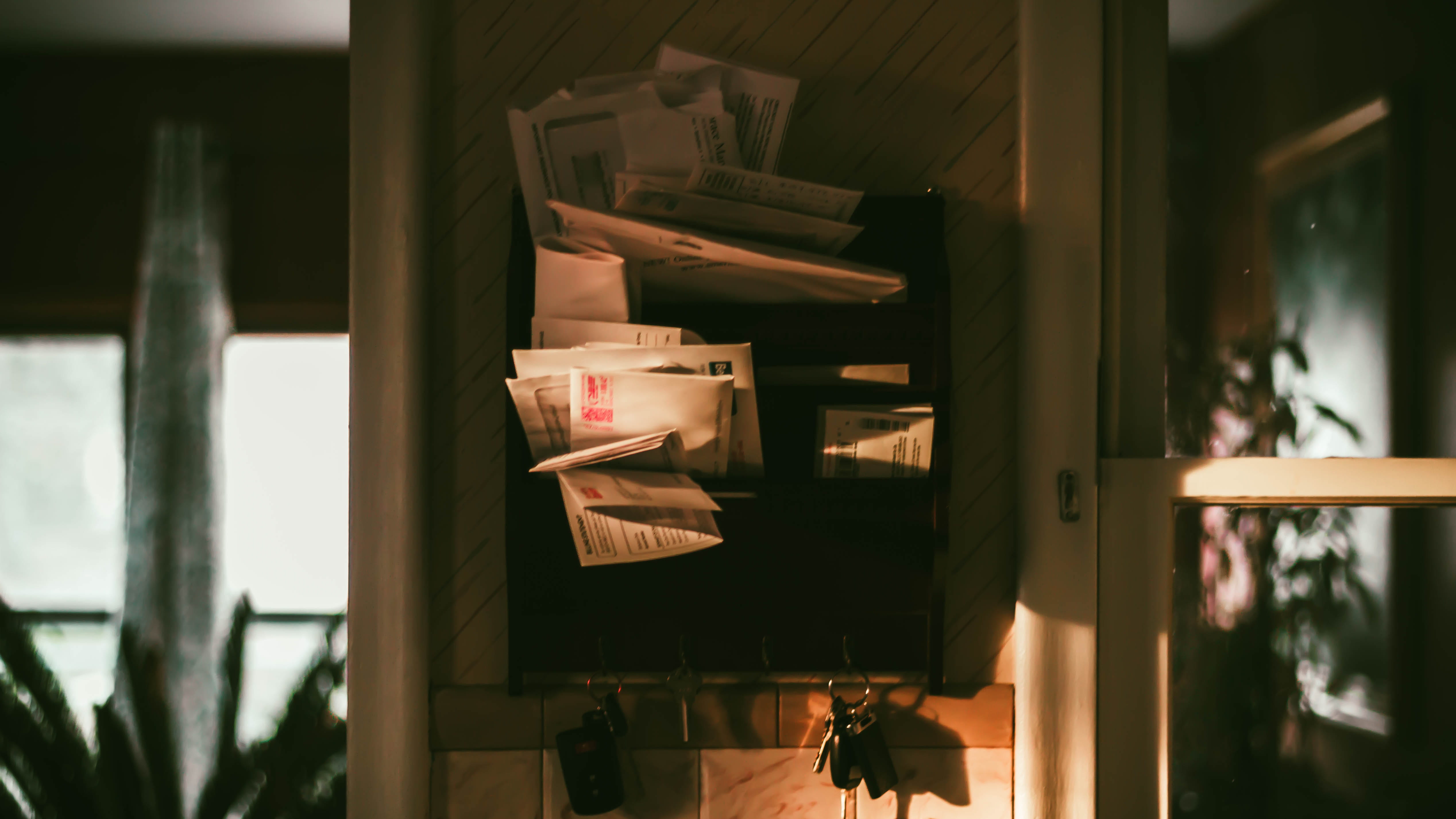 stack, wooden, life, nature, glass - material, no people, reflection, day, indoors, wall, sunlight, built structure, rack, brown, wood - material, envelops, HD Wallpaper