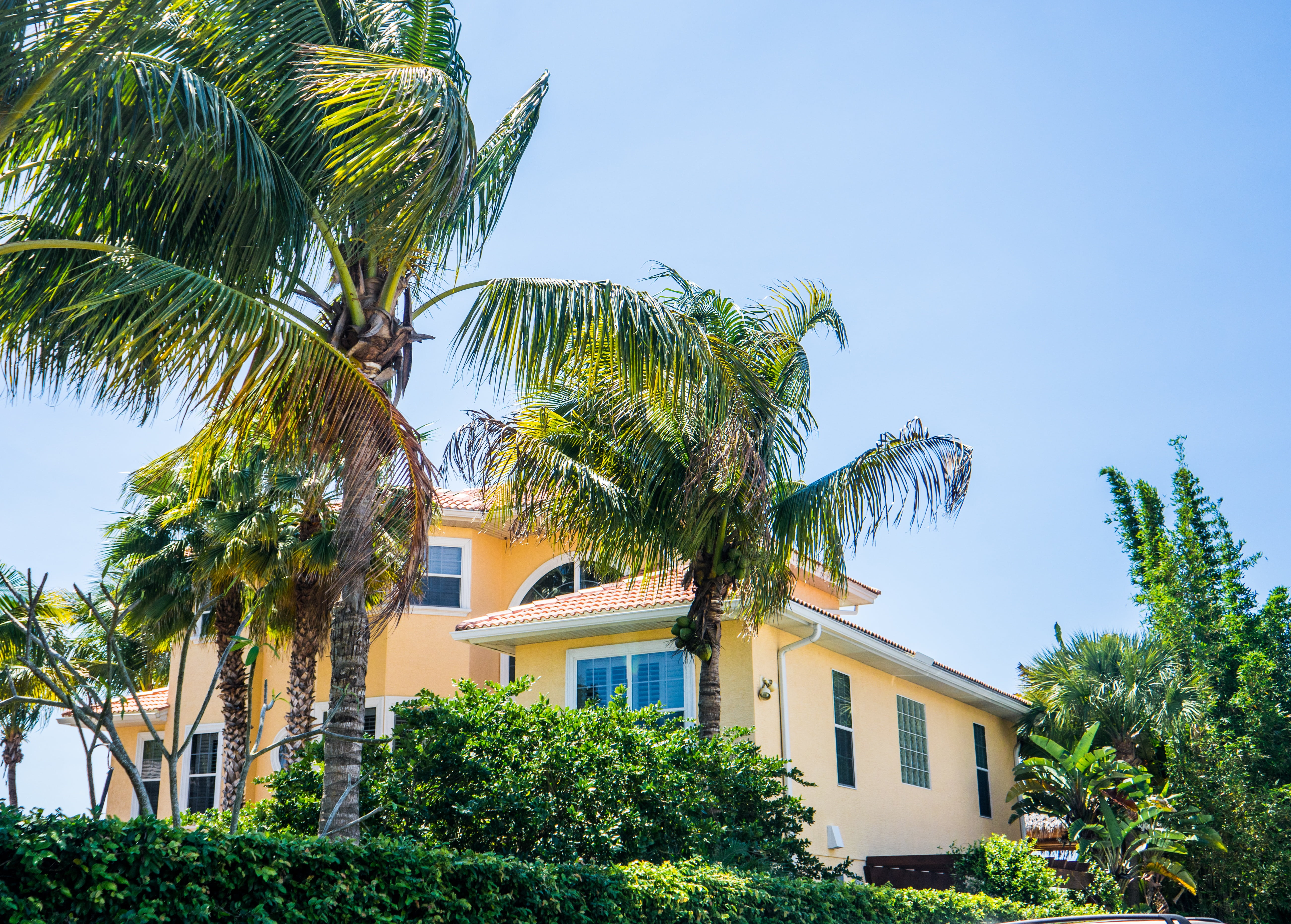 city, tree, luxury, clear sky, building, florida, no people, front or back yard, vacation, plant, palm trees, tropical climate, built structure, sky, house, HD Wallpaper