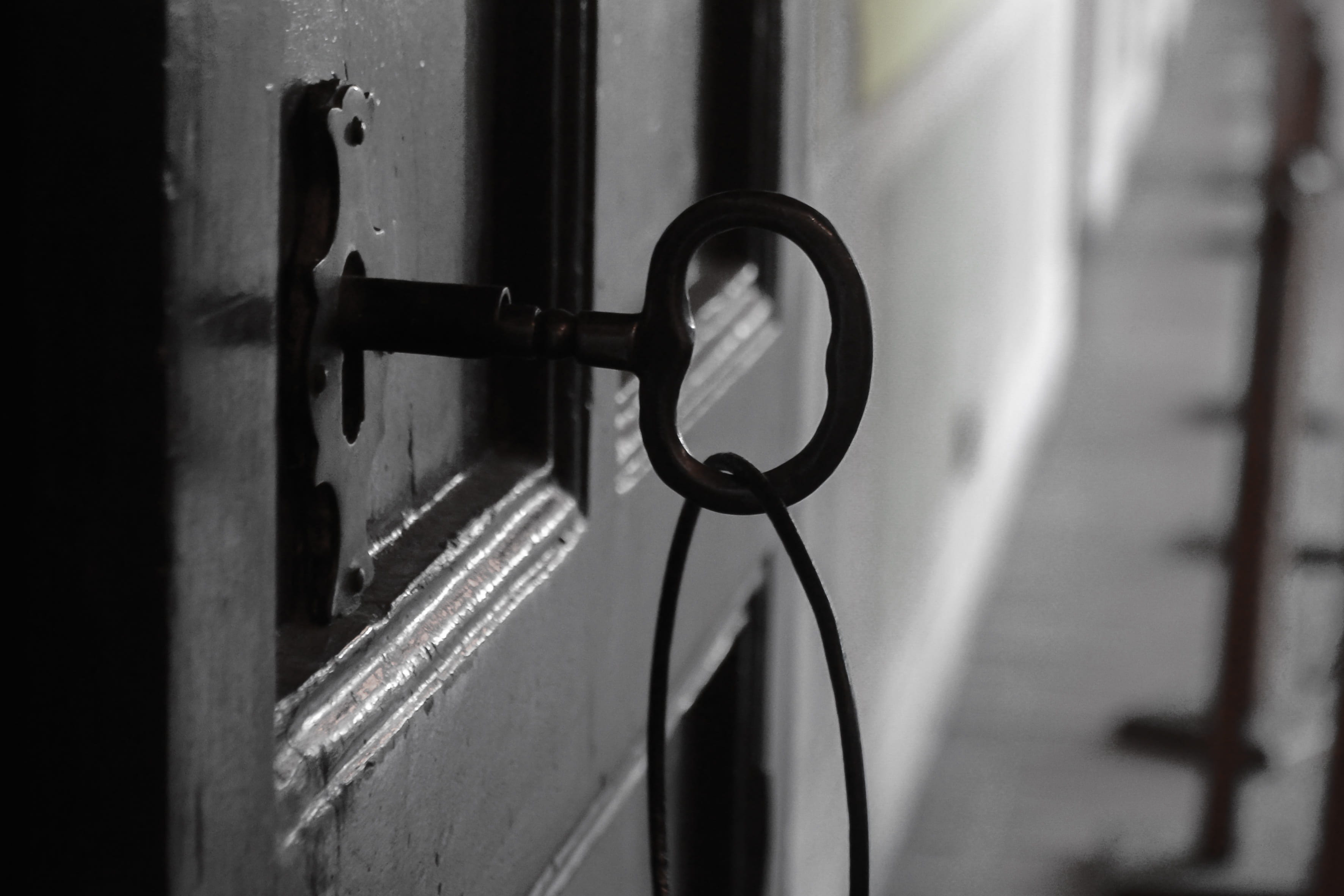 skeleton, alloy, leaving, key, entrance, log, black, closed, prison, safety, handle, security, close-up, gate, 2K, door, punishment, texture, building, HD Wallpaper