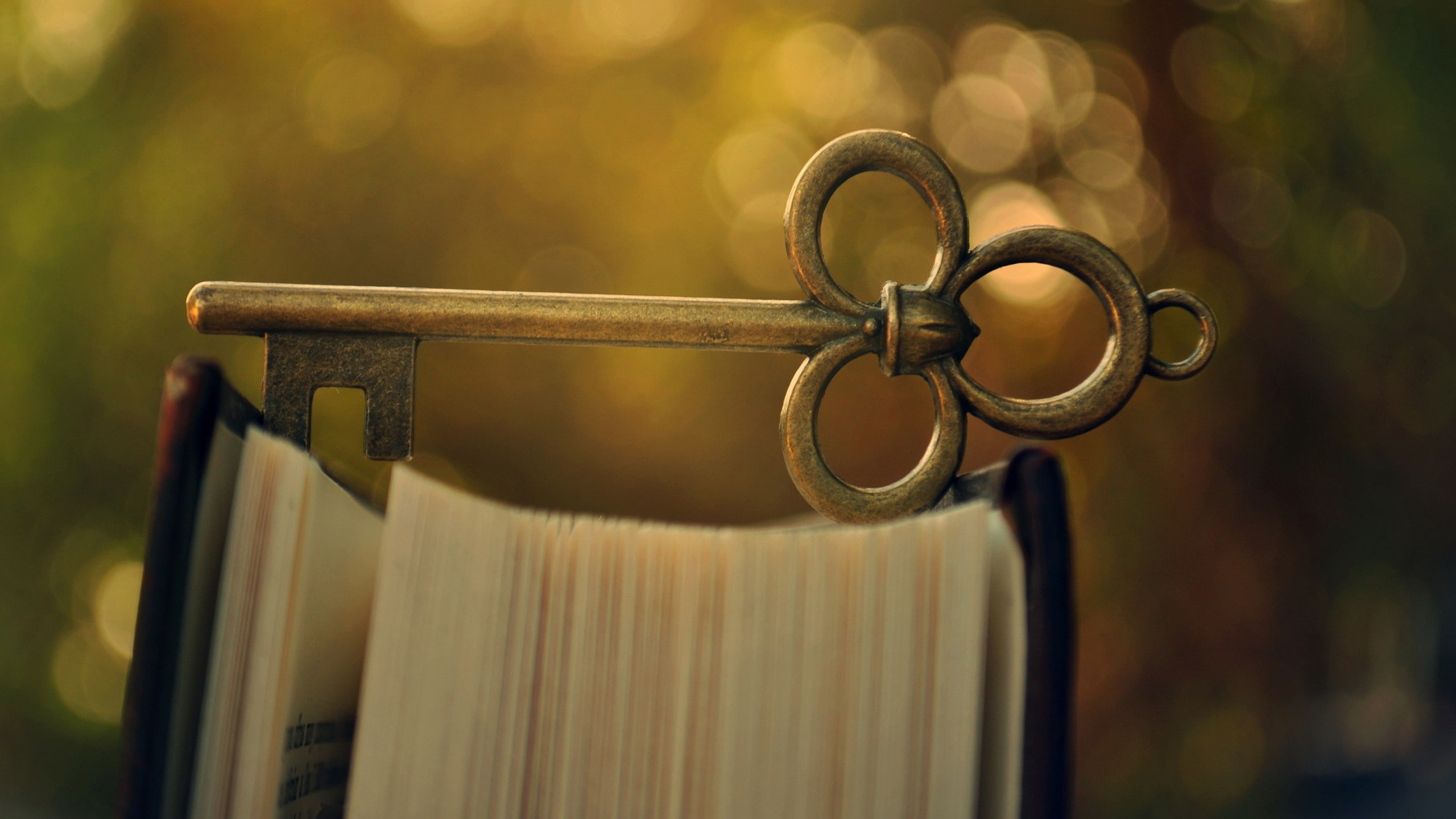 keys, bokeh, books, macro, 2K, HD Wallpaper