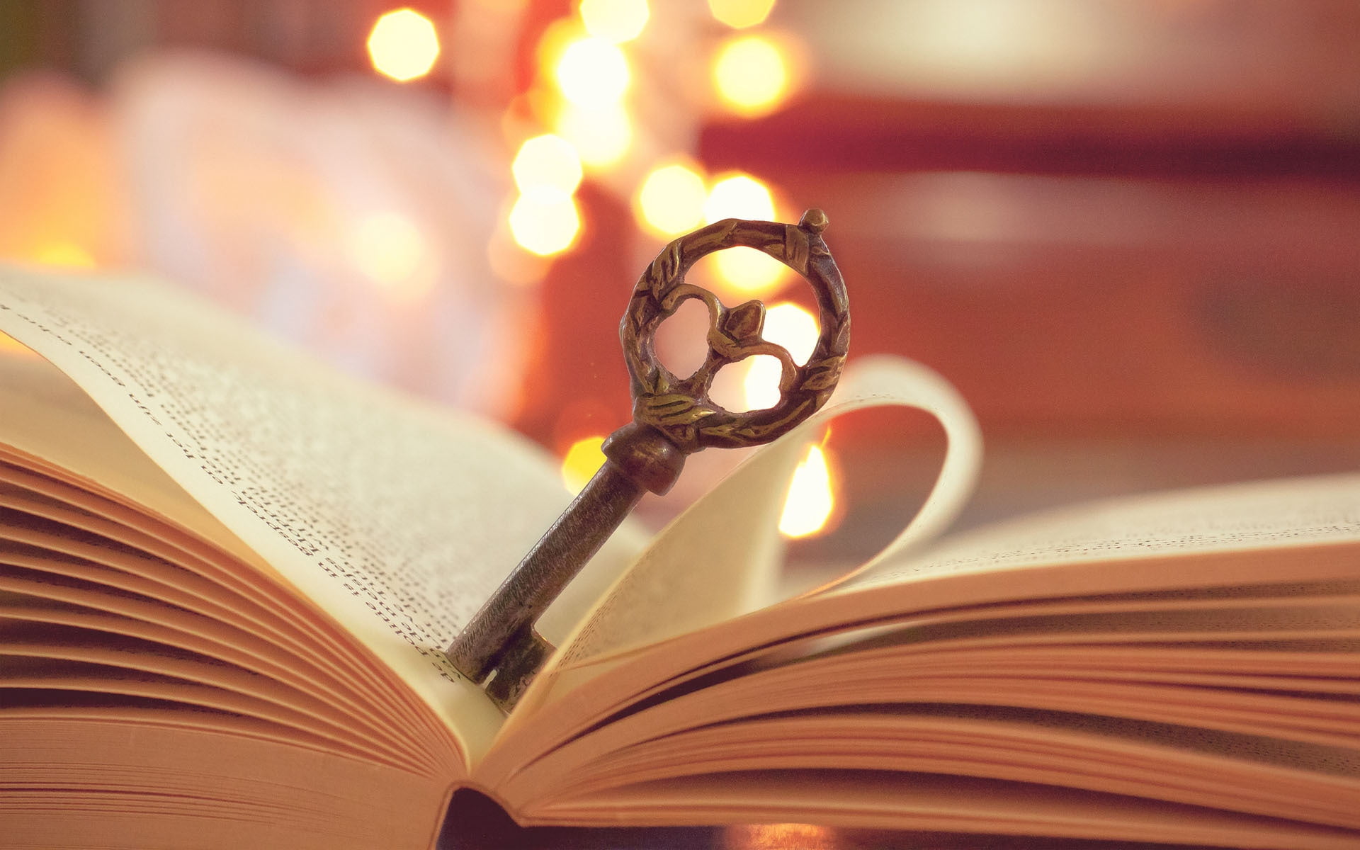 indoors, library, single Object, close-up, heart shape, learning, textbook, reading, old, literature, research, macro, wisdom, paper, expertise, 1080P, HD Wallpaper