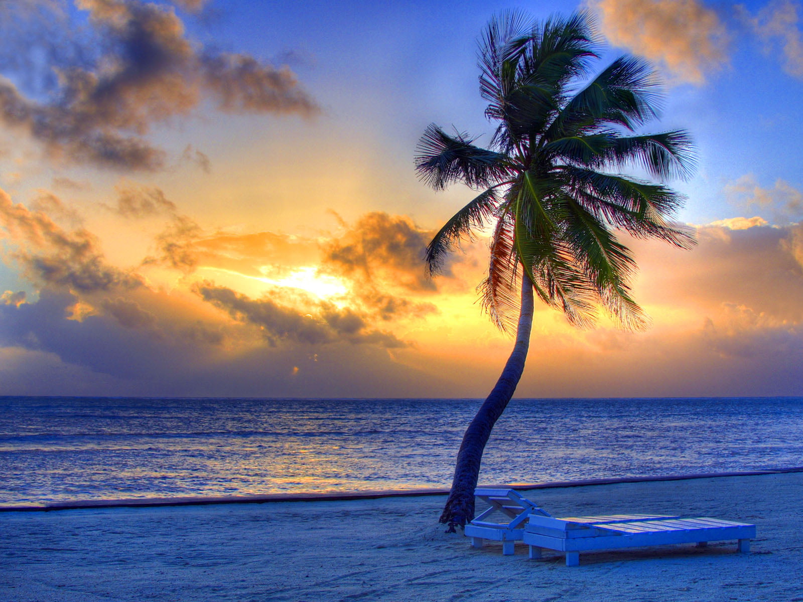 sky, two, tahiti, tropical tree, sea, 720P, Beach, cloud - sky, tranquility, land, wooden, white, sunloungers, Nature, horizon over water, sunset, idyllic, HD Wallpaper