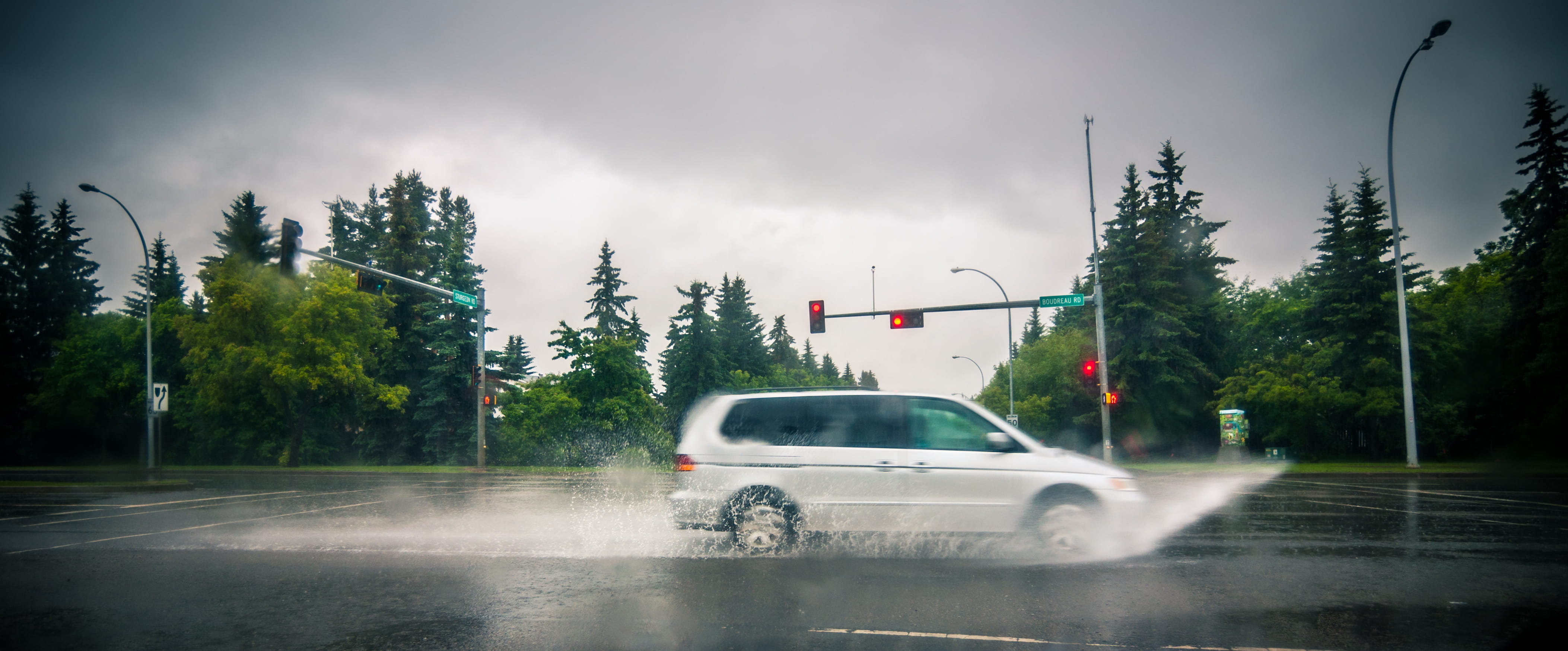 plant, fir, wet, power in nature, 4K, machine, transportation, tree, automobile, vehicle, abies, white, canada, car, st. albert, motor vehicle, light, HD Wallpaper