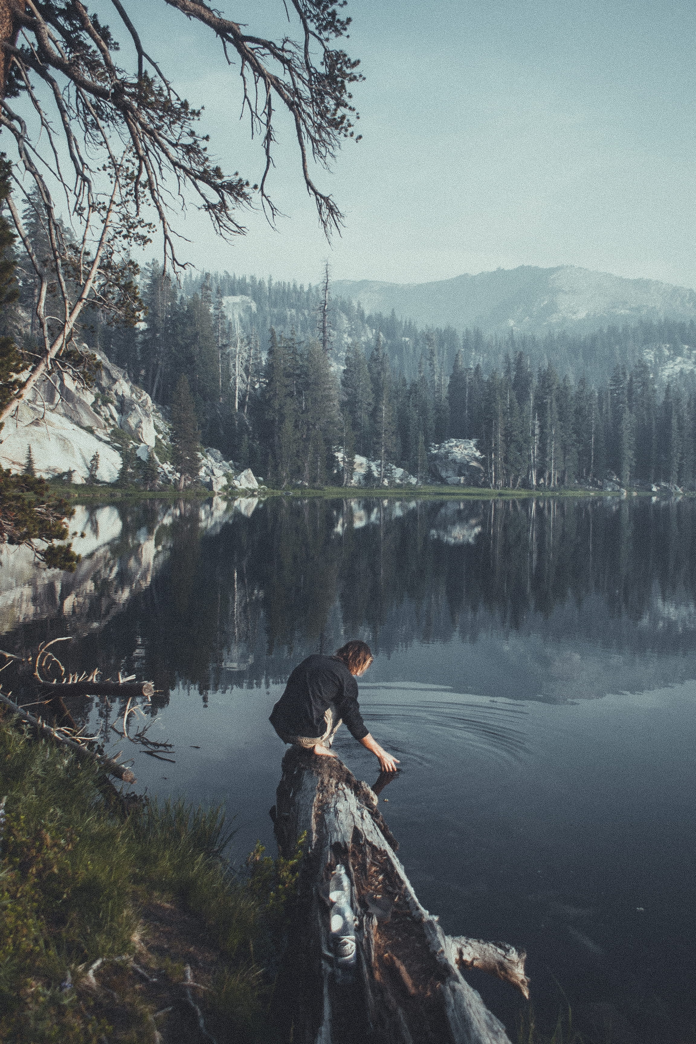 side view, lifestyles, leisure activity, beauty in nature, log, non-urban scene, person, wilderness, reflection, fishing, tranquility, tranquil scene, california, Phone HD Wallpaper
