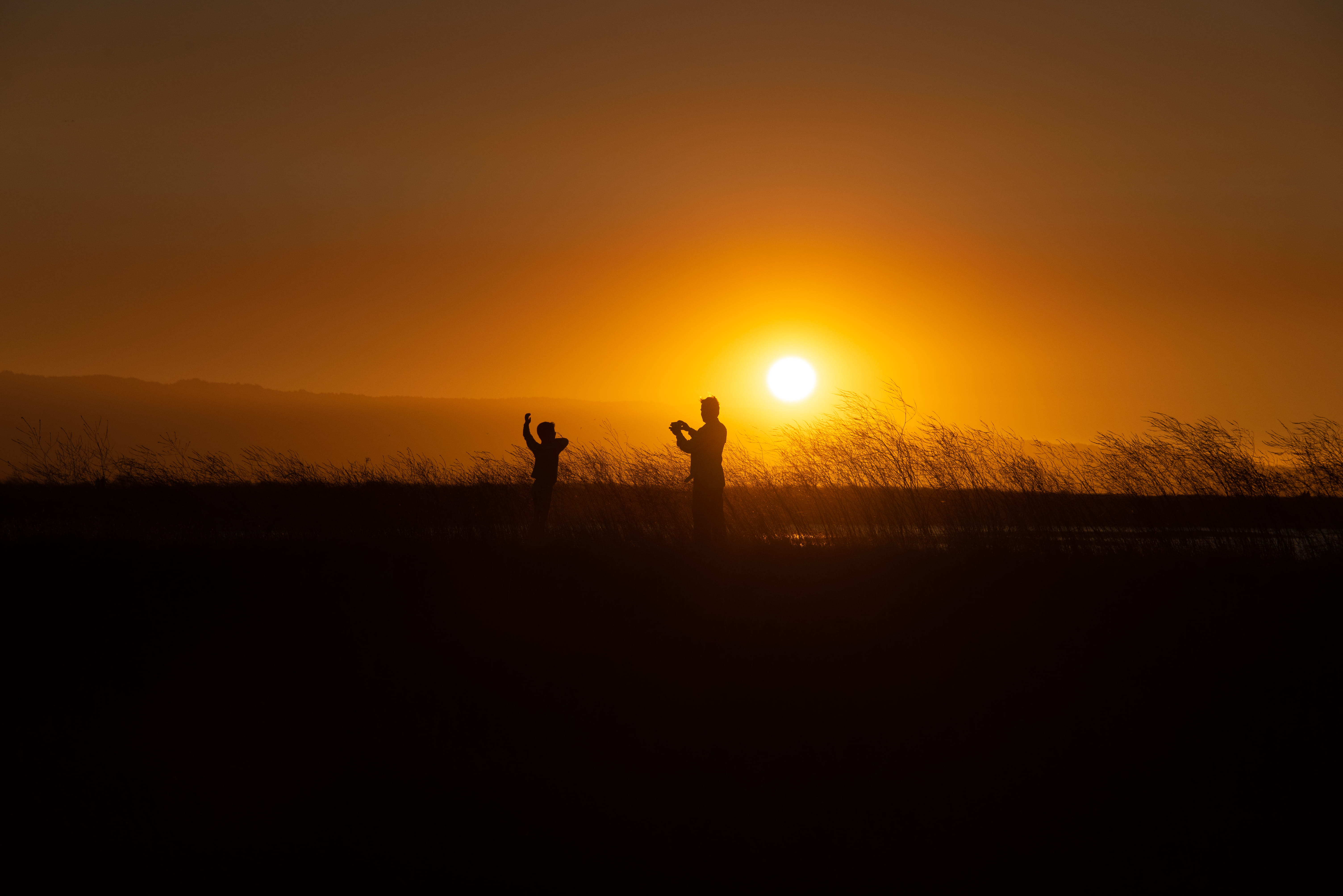orange, silhouette, togetherness, nature, playing, sun, red sky, two people, vegetation, adventure, grassfield, dusk, scenics - nature, leisure activity, HD Wallpaper