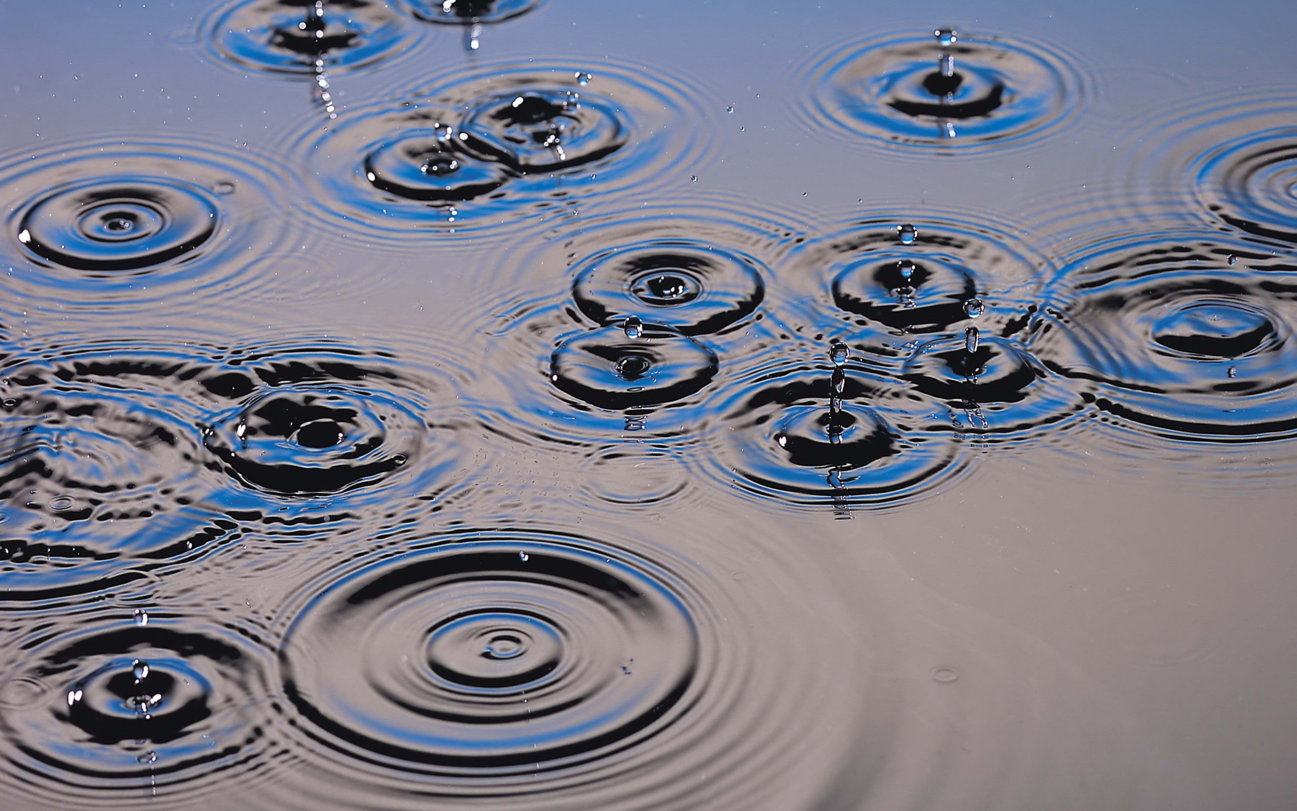 hd, water, raindrop, 2K, ripples, photography, HD Wallpaper