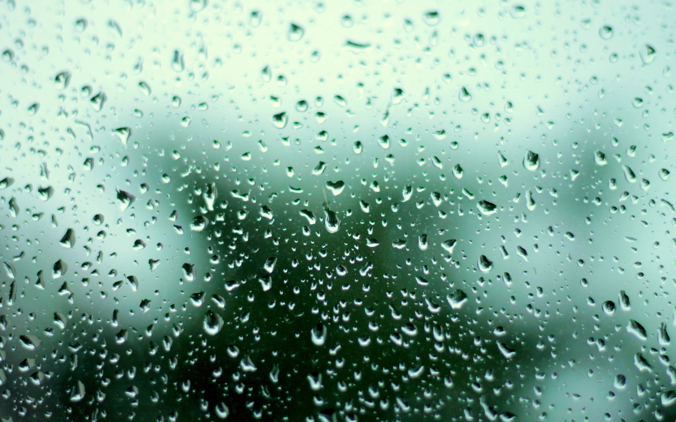 textured, weather, full frame, glass - Material, blur, 2K, glass, macro, wet, condensation, spring, day, freshness, blue, liquid, nature, water, purity, HD Wallpaper