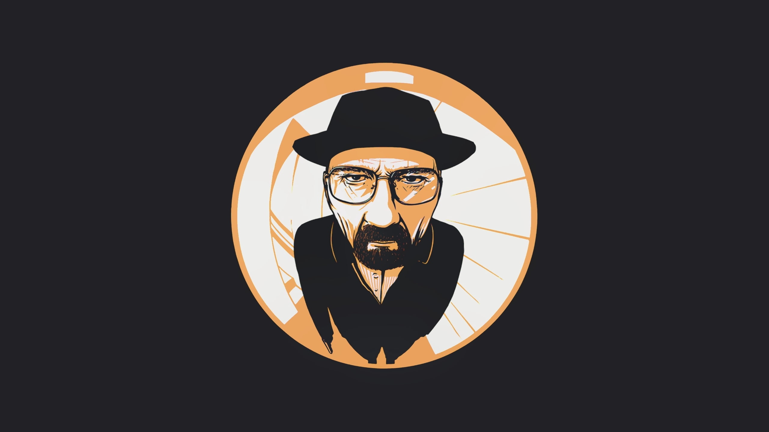 vector, fish-eye lens, walter white, 2K, breaking bad, HD Wallpaper