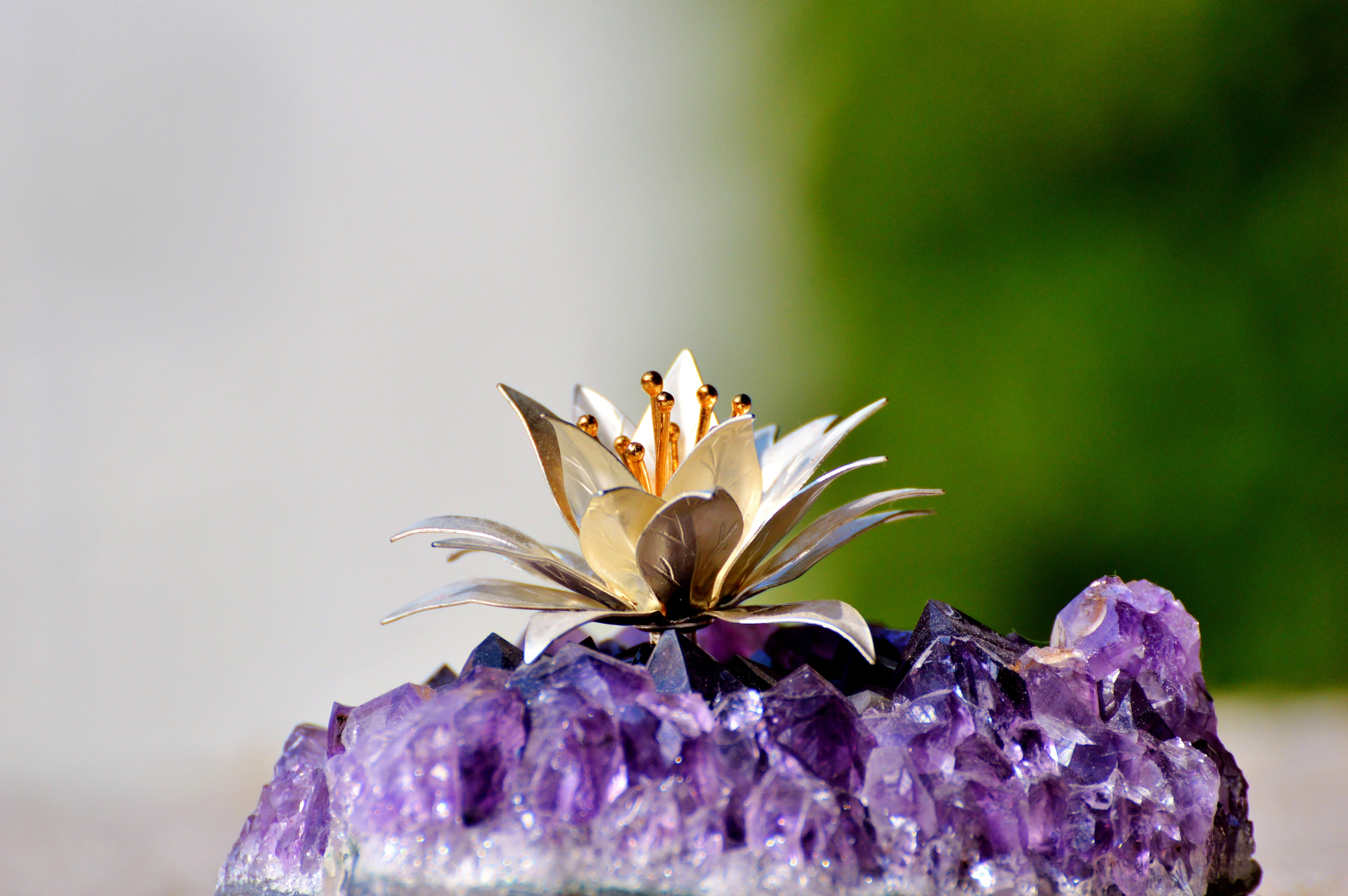 gem, geode, water, color, flower, stone, ornamental garden, crystal structure, blossom, flower head, 5K, petal, nature, close-up, crystal, growth, freshness, HD Wallpaper