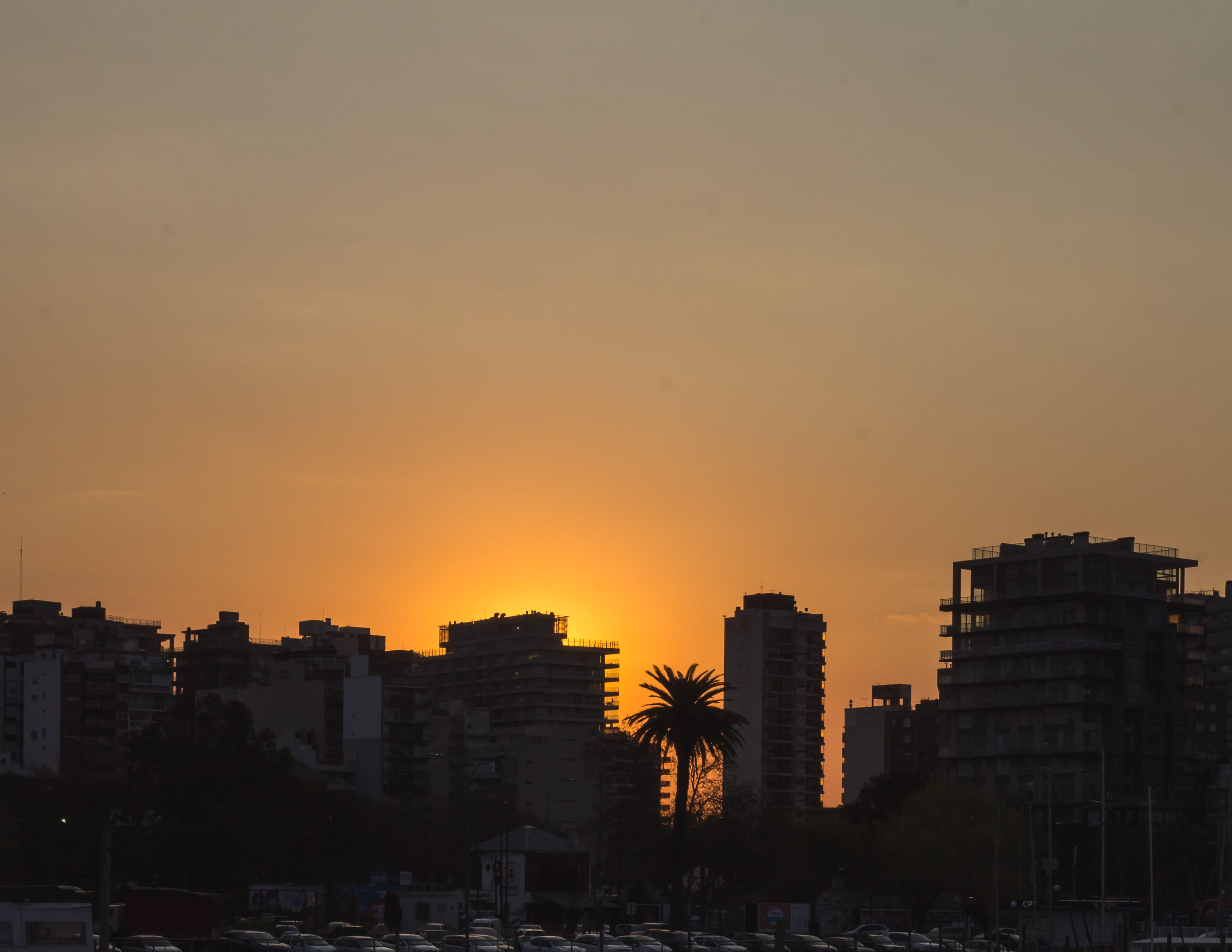 beauty in nature, building exterior, 2K, sunlight, tree, sun, no people, silhouette, copy space, residential district, nature, argentina, apartment, sky, HD Wallpaper