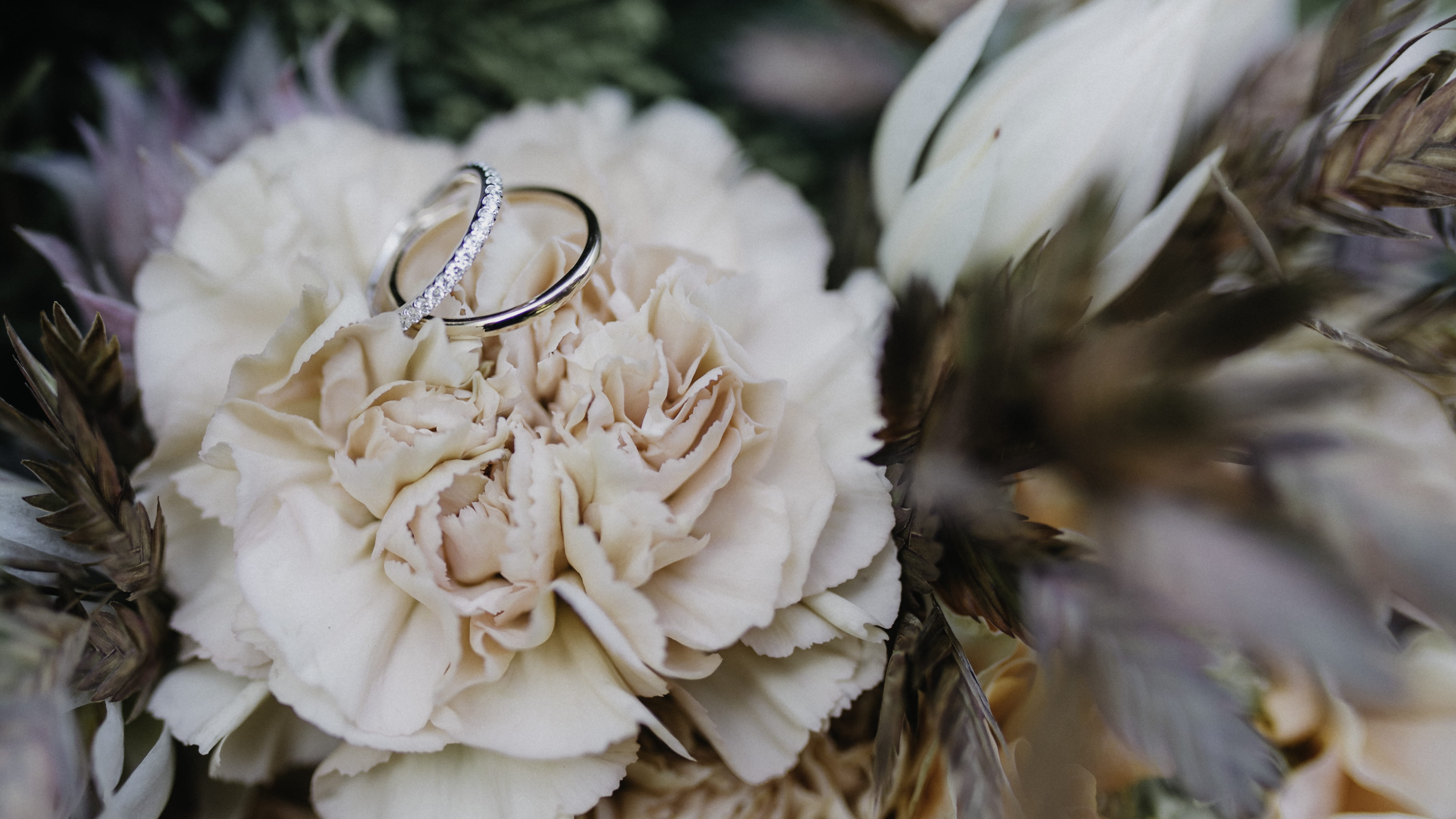 freshness, day, flower, jewelry, retail, two, white, diamond, wedding, wedding ring, nature, beauty in nature, bouquet, fragility, no people, selective focus, HD Wallpaper
