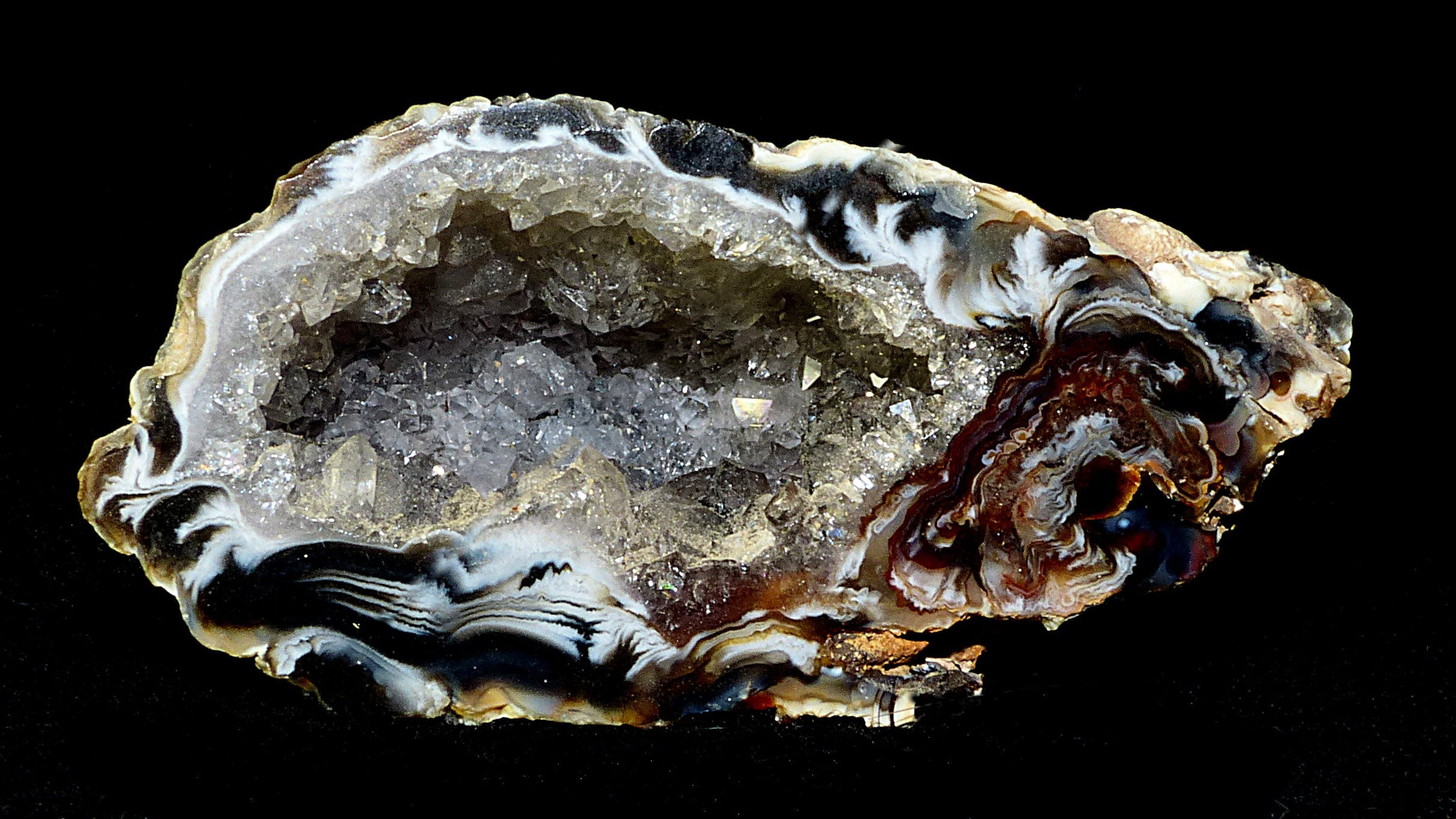 black, close-up, background, rock, fossil, jewelry, gemstone, no people, black background, natural stones, indoors, animal wildlife, mineral, geology, shiny, HD Wallpaper