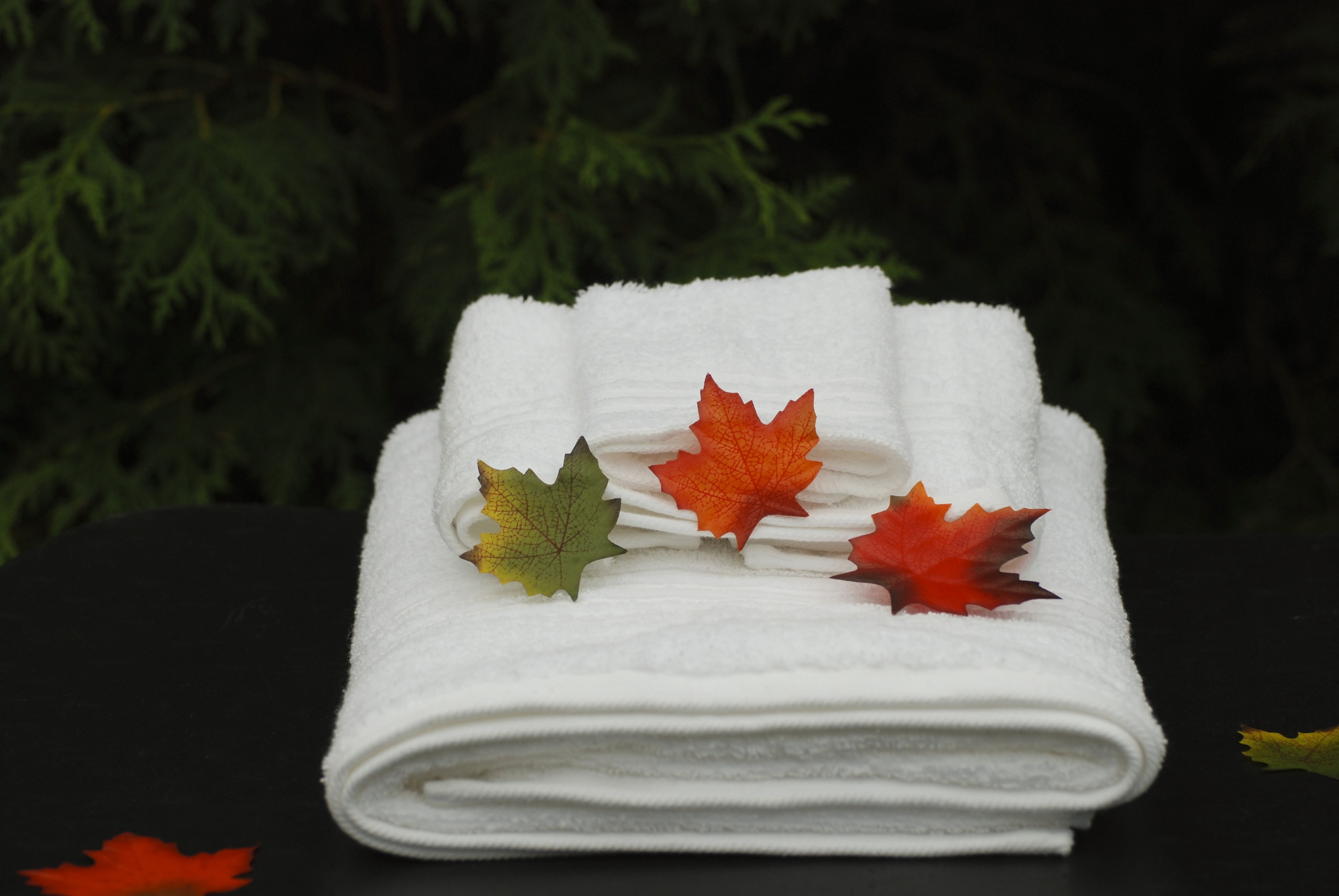 plant part, outdoors, change, natural, care, aromatherapy, relax, spa, vulnerability, white color, beauty in nature, white, towels, skin, tree, hygiene, HD Wallpaper