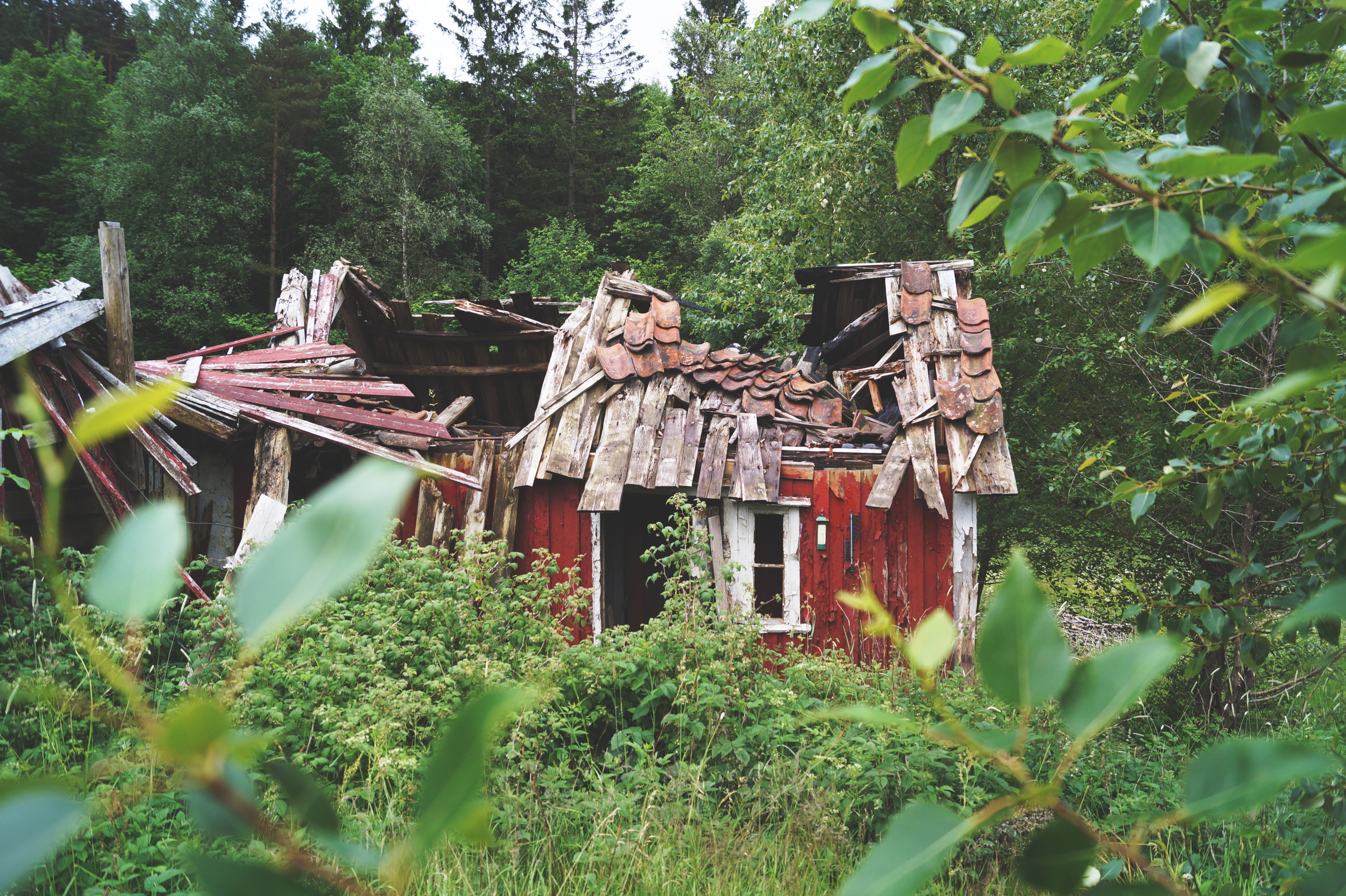 ruin, 5K, broken, hut, decay, blurred, wood, HD Wallpaper