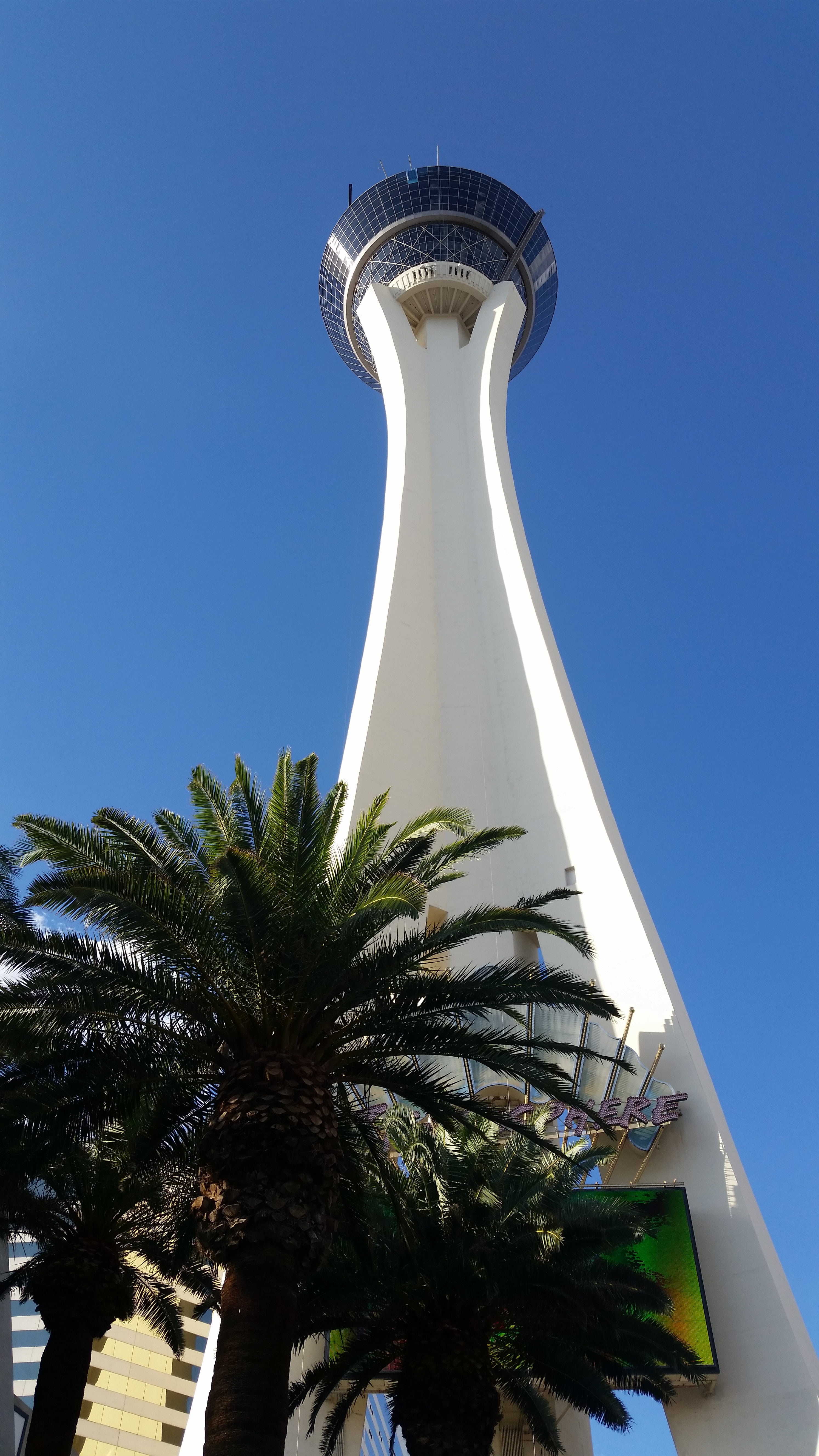 palm tree, las vegas, stratosphere, nature, plant, tree, sky, day, tower, tall - high, low angle view, vegas, travel destinations, casino, tourism, famous, Phone HD Wallpaper