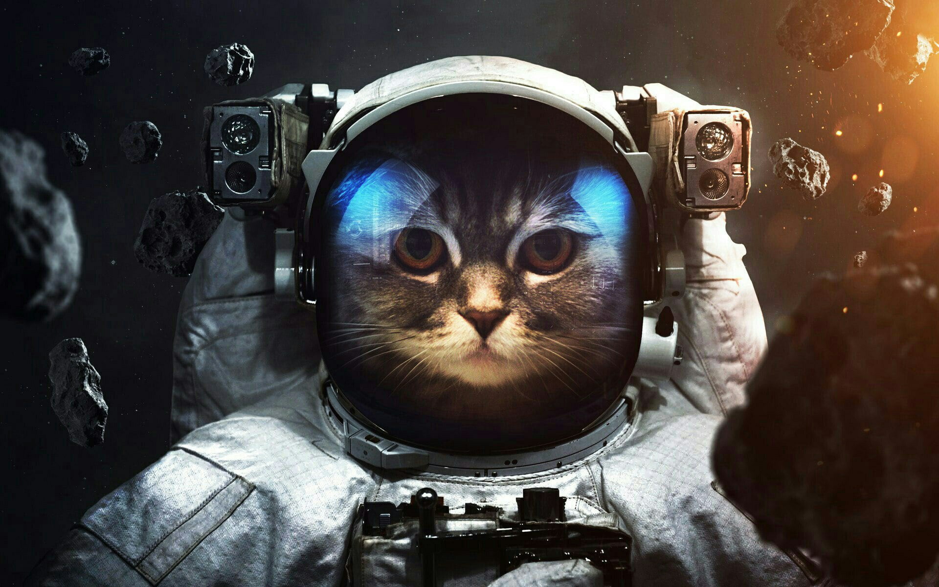 1080P, astronaut, asteroid, cat, space, costume, HD Wallpaper