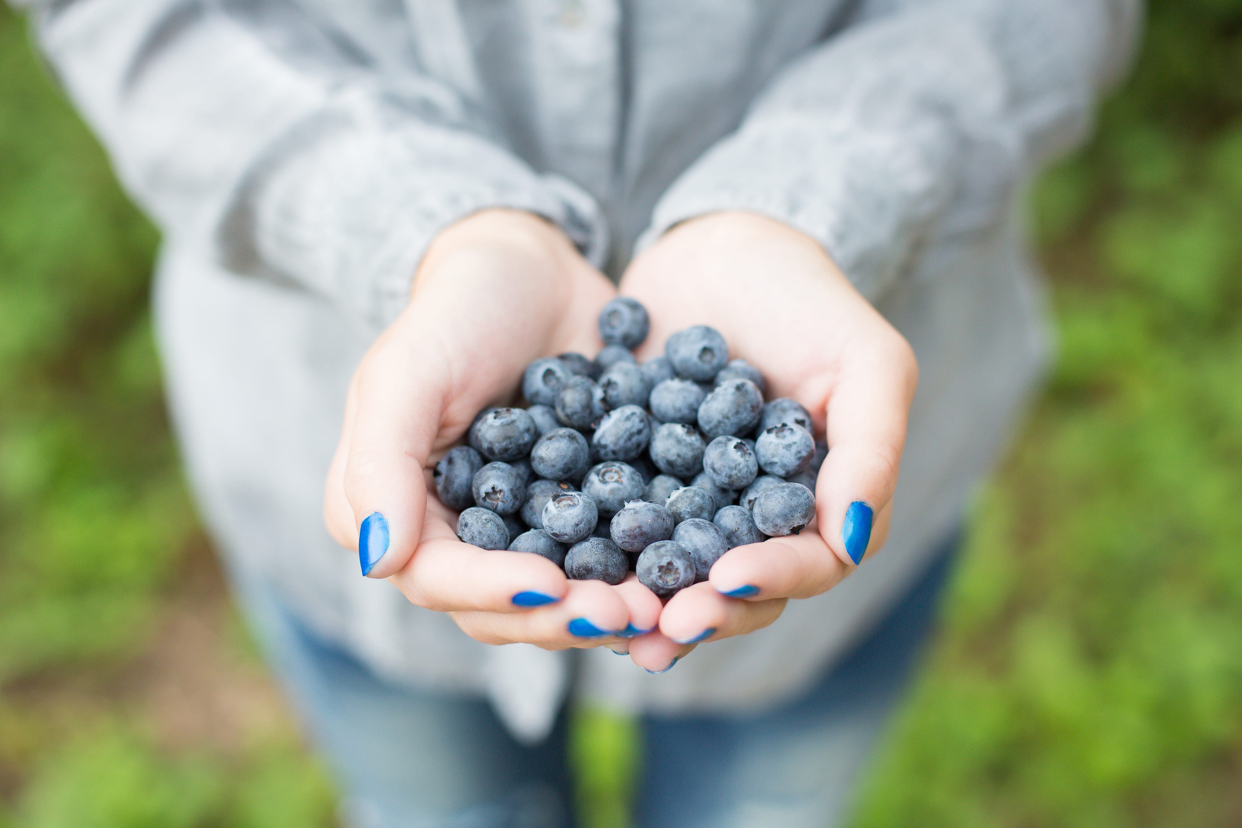 ripe, woman, focus on foreground, handful, forest, day, healthy Lifestyle, grape, outdoors, girl, fruit, Blueberries, food, summer, human body part, freshness, HD Wallpaper