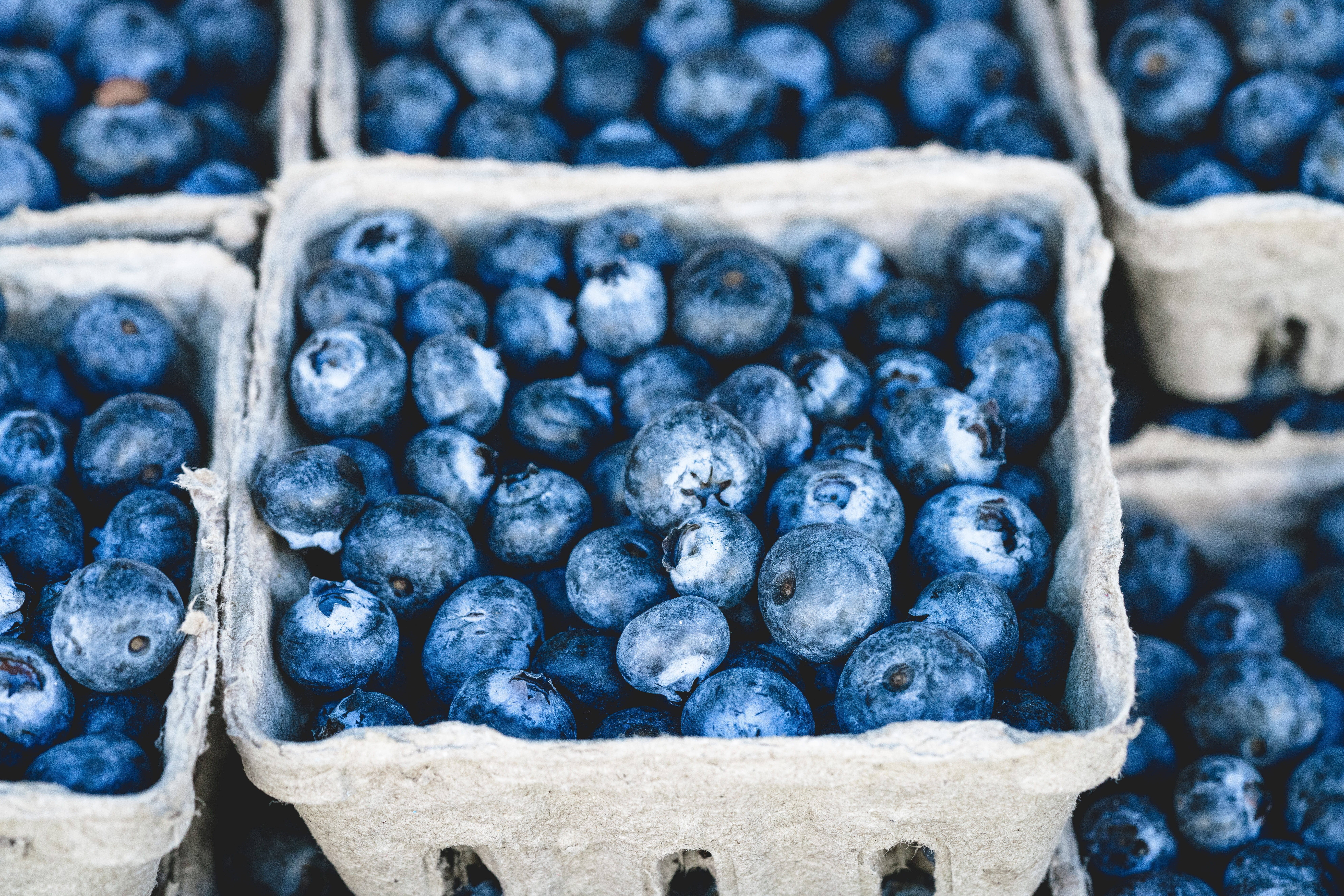 abundance, still life, container, close-up, food and drink, freshness, berry fruit, fresh food, juicy, eating healthy, focus on foreground, ingredients, HD Wallpaper