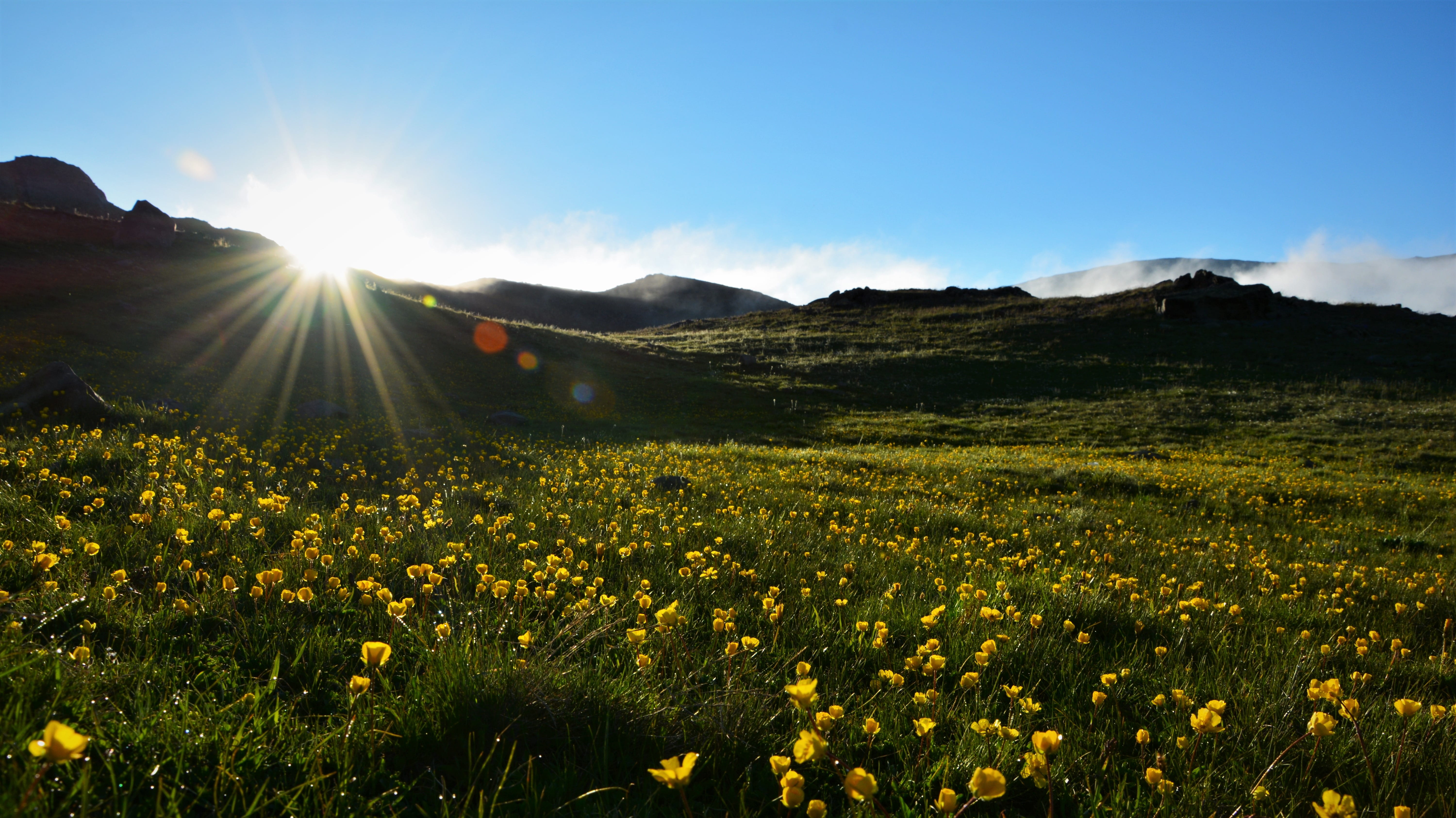 taylor, daytime, scenics - nature, close, green, sunbeam, day, mountains, color, sunlight, green field, sun, beautiful, land, background, lens flare, environment, HD Wallpaper