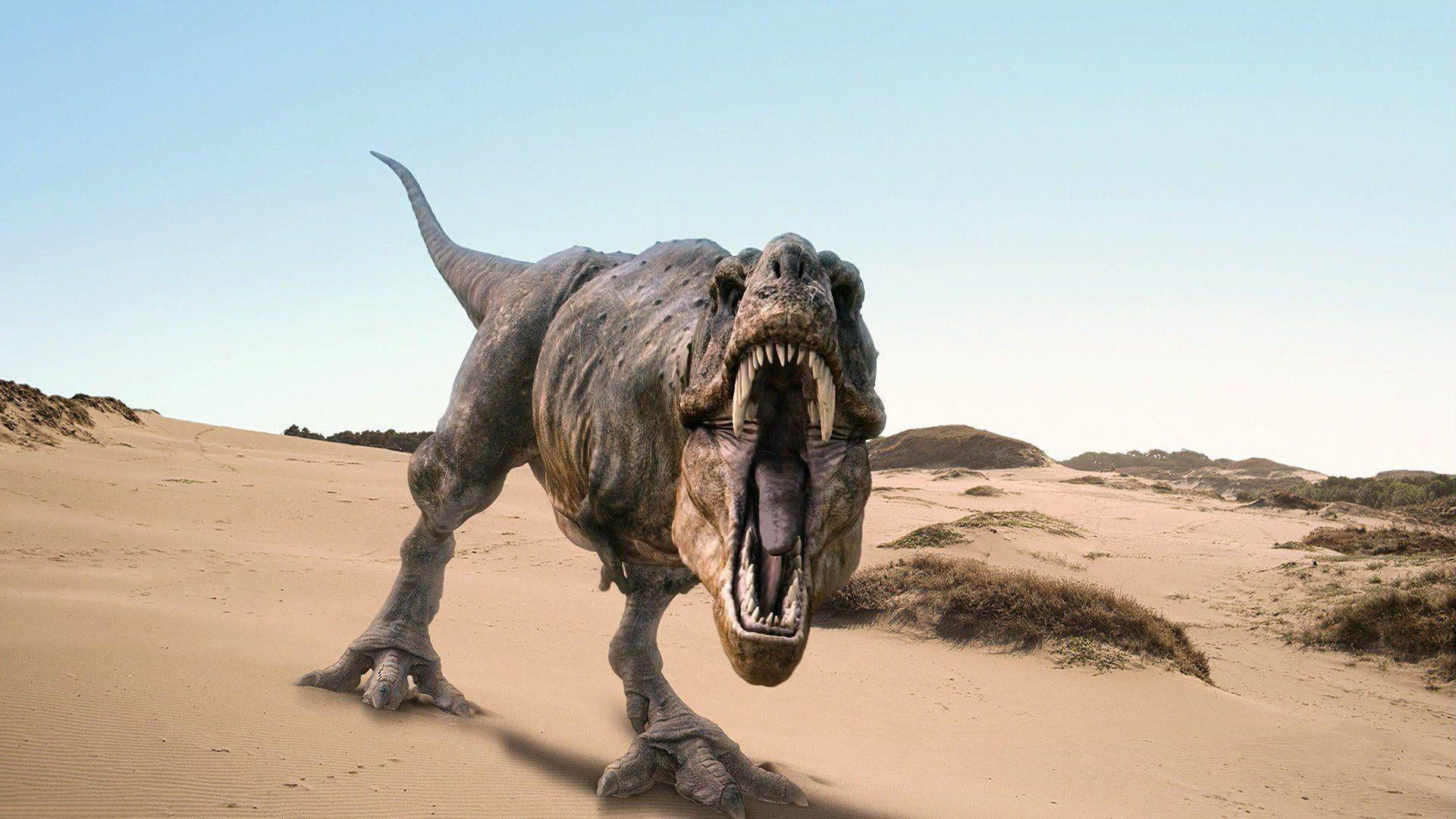 dinosaurs, anger, sand, mouth open, one animal, animal themes, water, vertebrate, day, full length, safari, environment, arid climate, mammal, prehistoric animals, HD Wallpaper