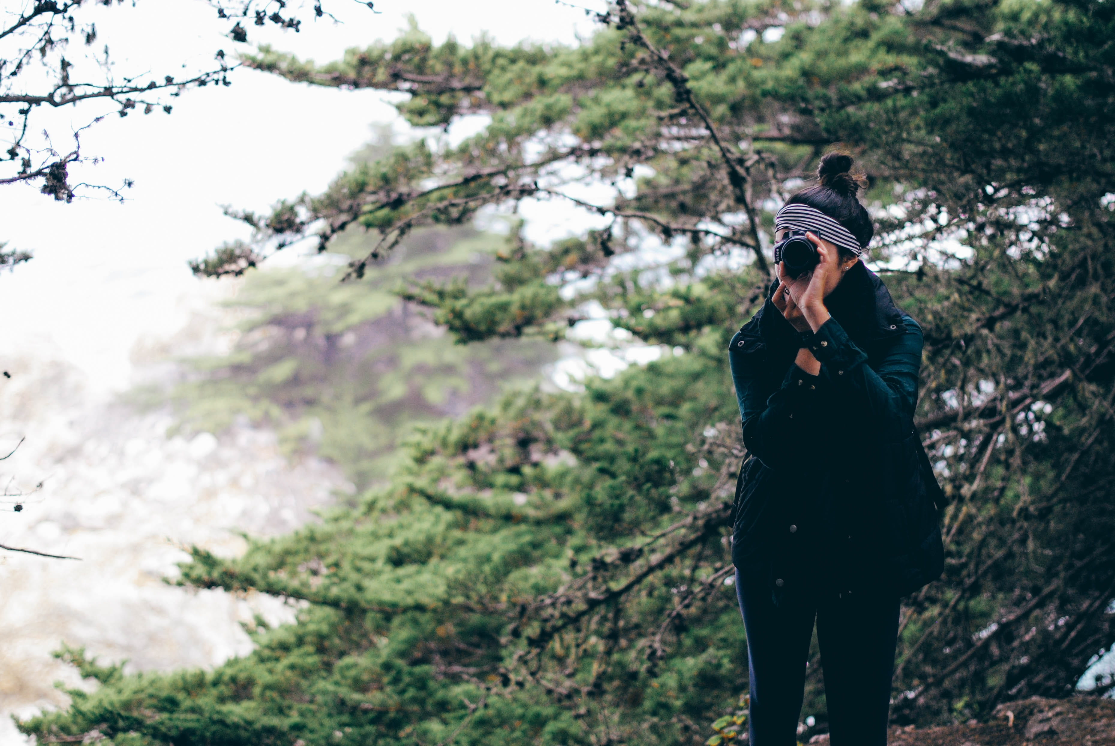 forest, redwoods, nature, beach, plant, one person, standing, lifestyles, real people, united states, tree, growth, photographer, norcal, camera, adventure, HD Wallpaper