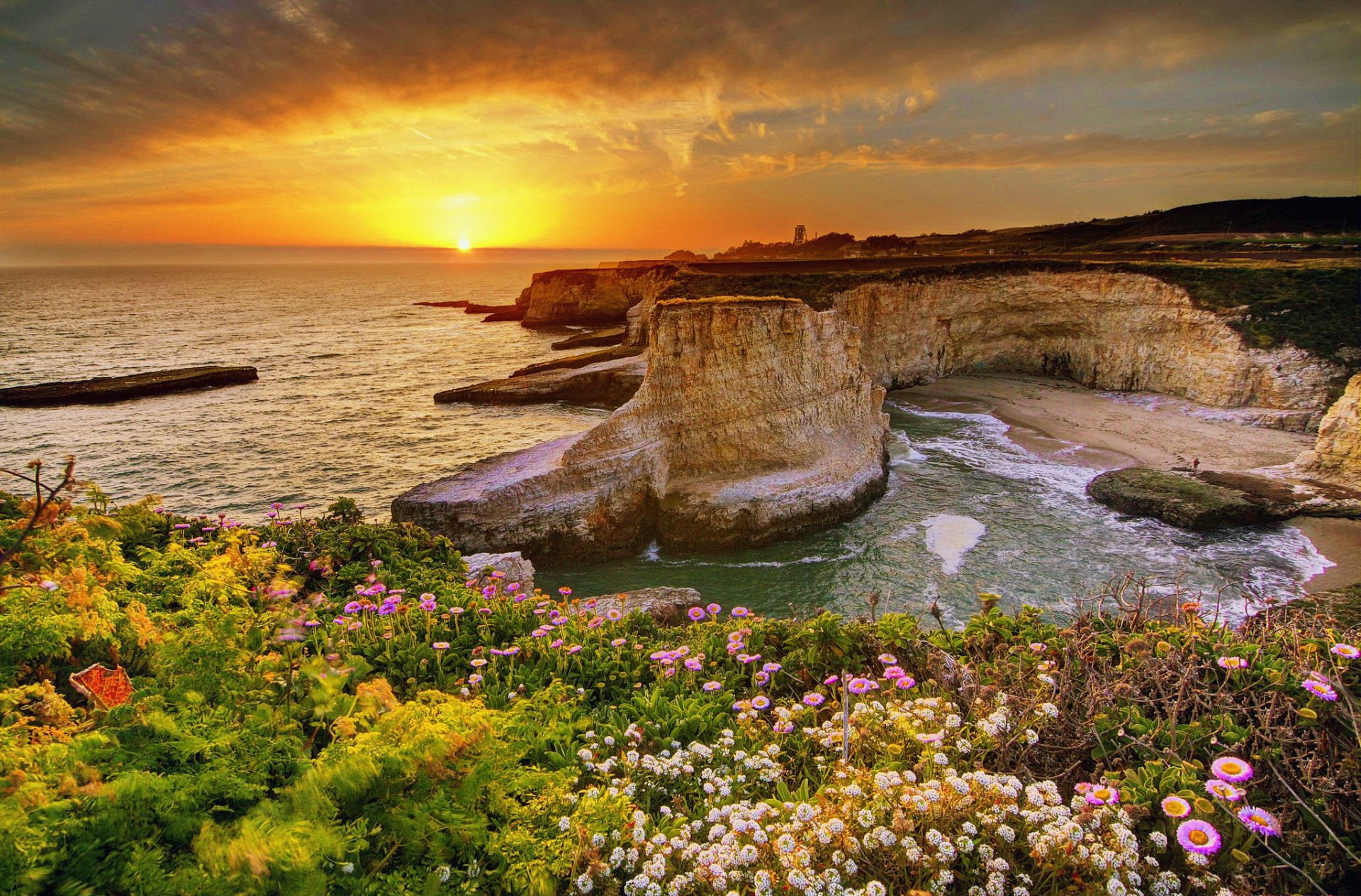 Rock, Cliff, Coastline, Big Sur, Sunset, Beach, Ocean, 1080P, California, Horizon, Sea, Flower, Earth, HD Wallpaper