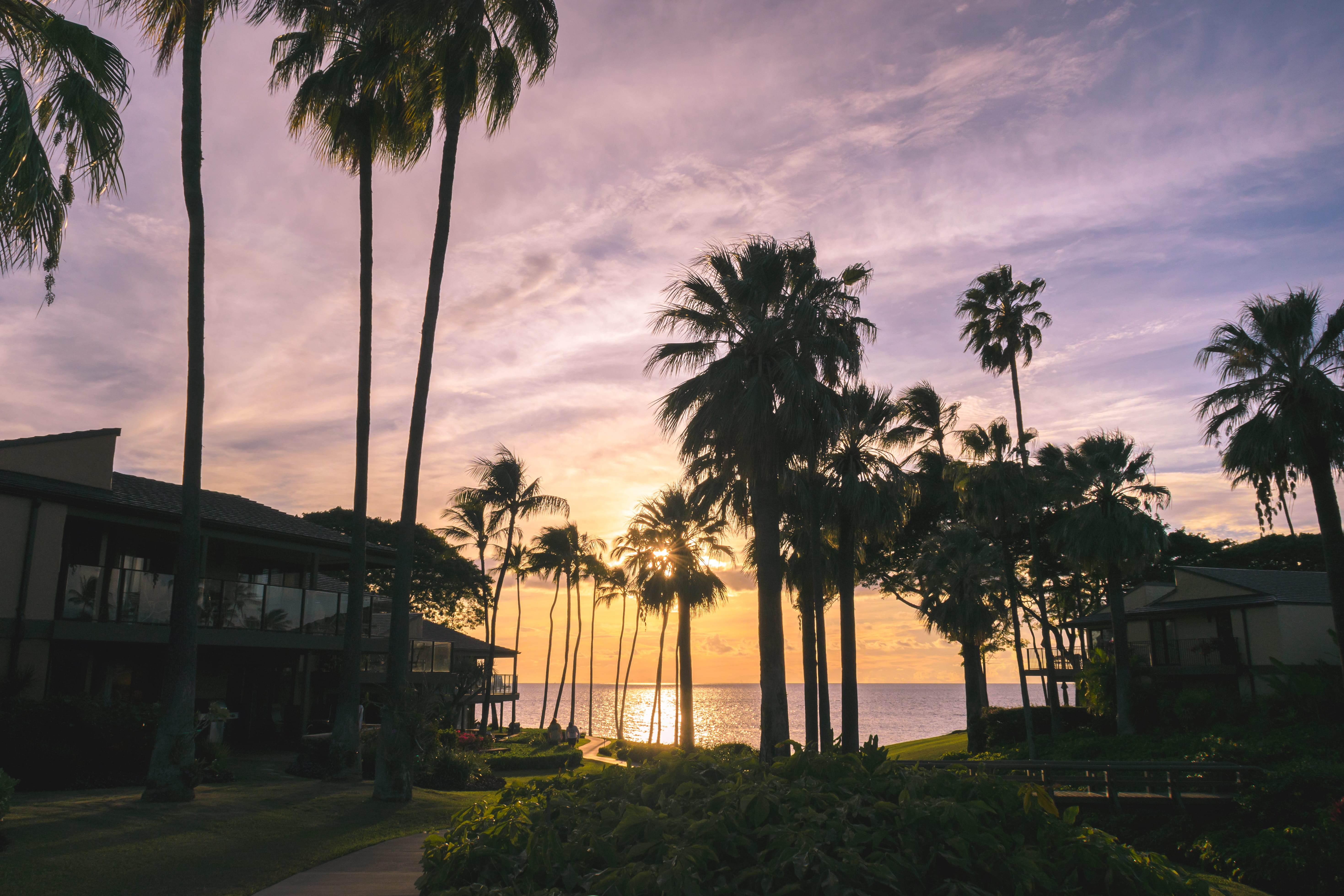 tranquil scene, hawaii, sky, scenics - nature, coconut palm tree, beach, paradise, growth, building exterior, palm trees, swimming pool, beauty in nature, HD Wallpaper