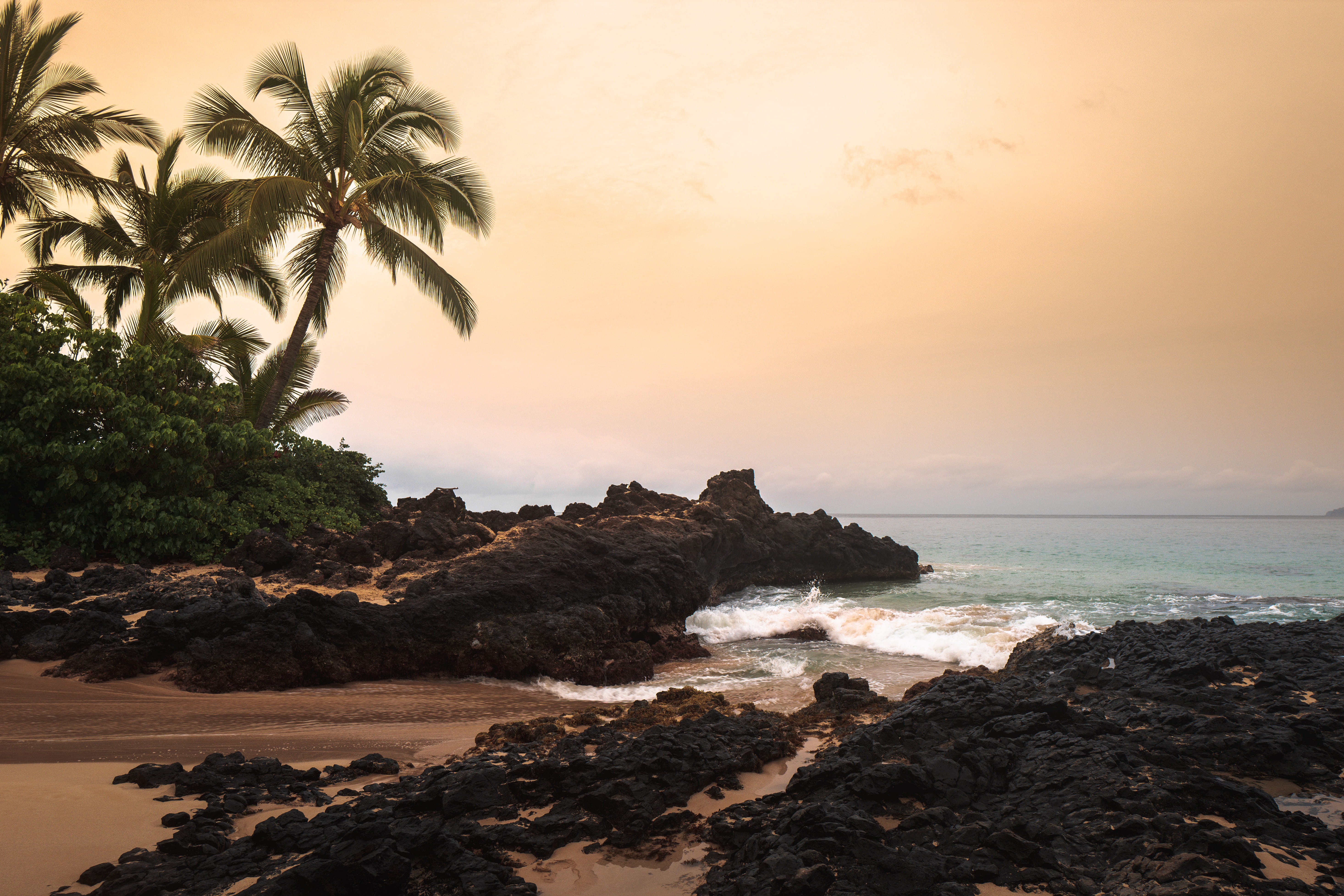 arecaceae, nature, sea, shoreline, rock, sunset, sky, promontory, coconut palm tree, ocean, sunrise, near, no people, viewing, landscape, tranquil scene, HD Wallpaper