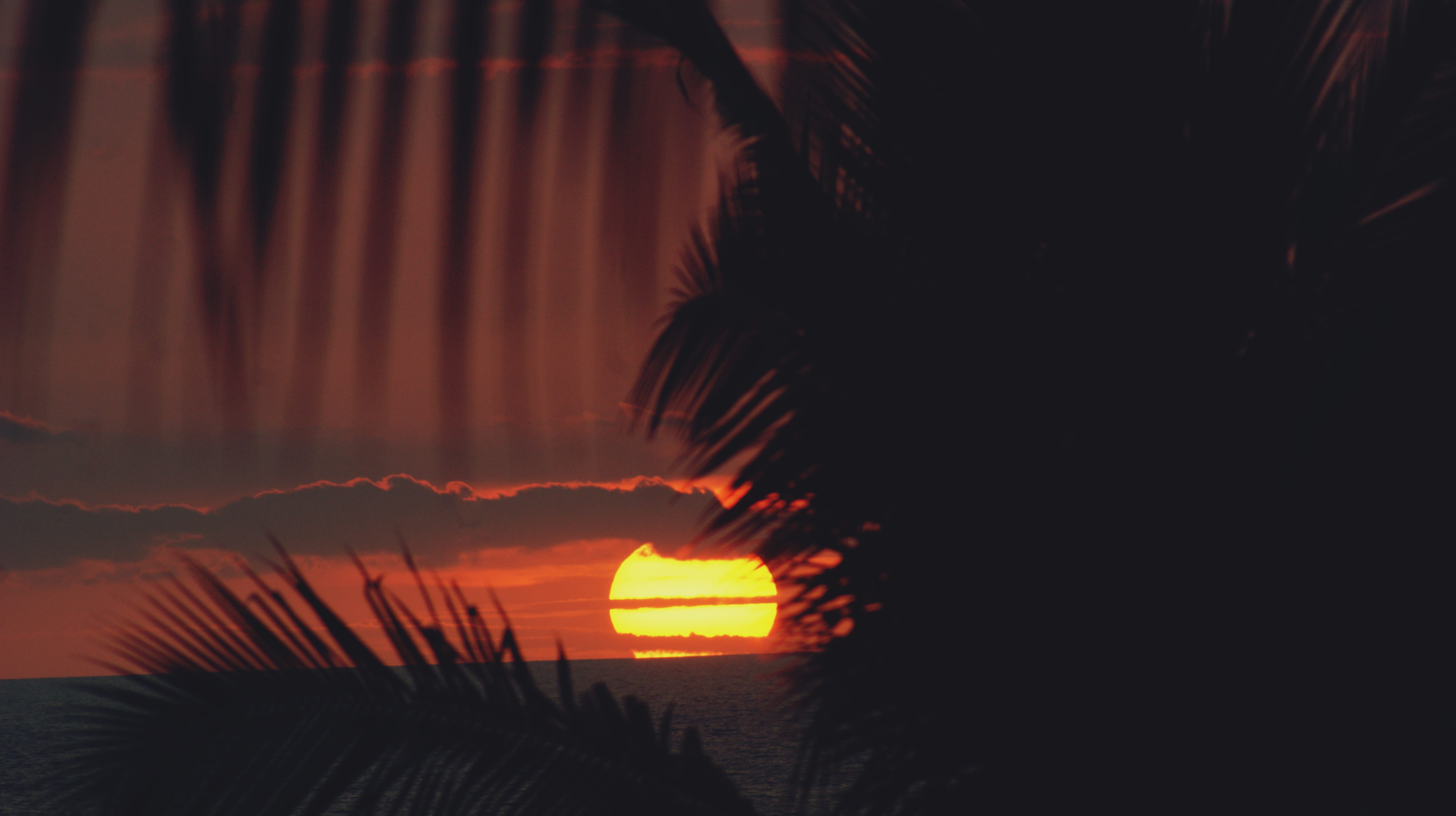 sunset, outdoors, paradise, tree, trip, travel, volcano, kona, water, tourist, palm trees, big, green, tranquility, no people, scenics - nature, usa, sky, HD Wallpaper