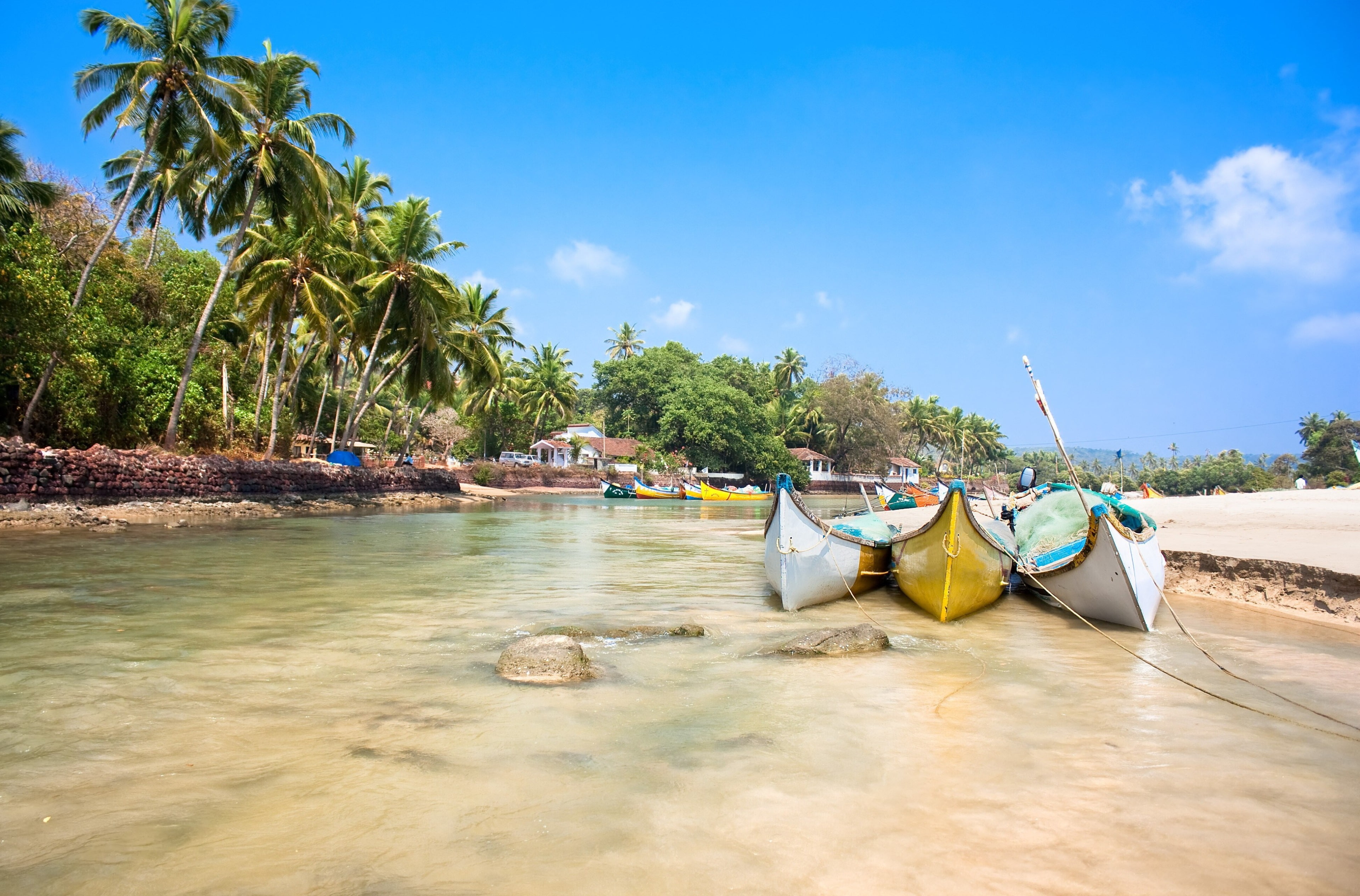 palm tree, coconut palm tree, moored, tree, water, beach, no people, transportation, nature, day, nautical vessel, tropical tree, sea, outdoors, land, anchored, HD Wallpaper