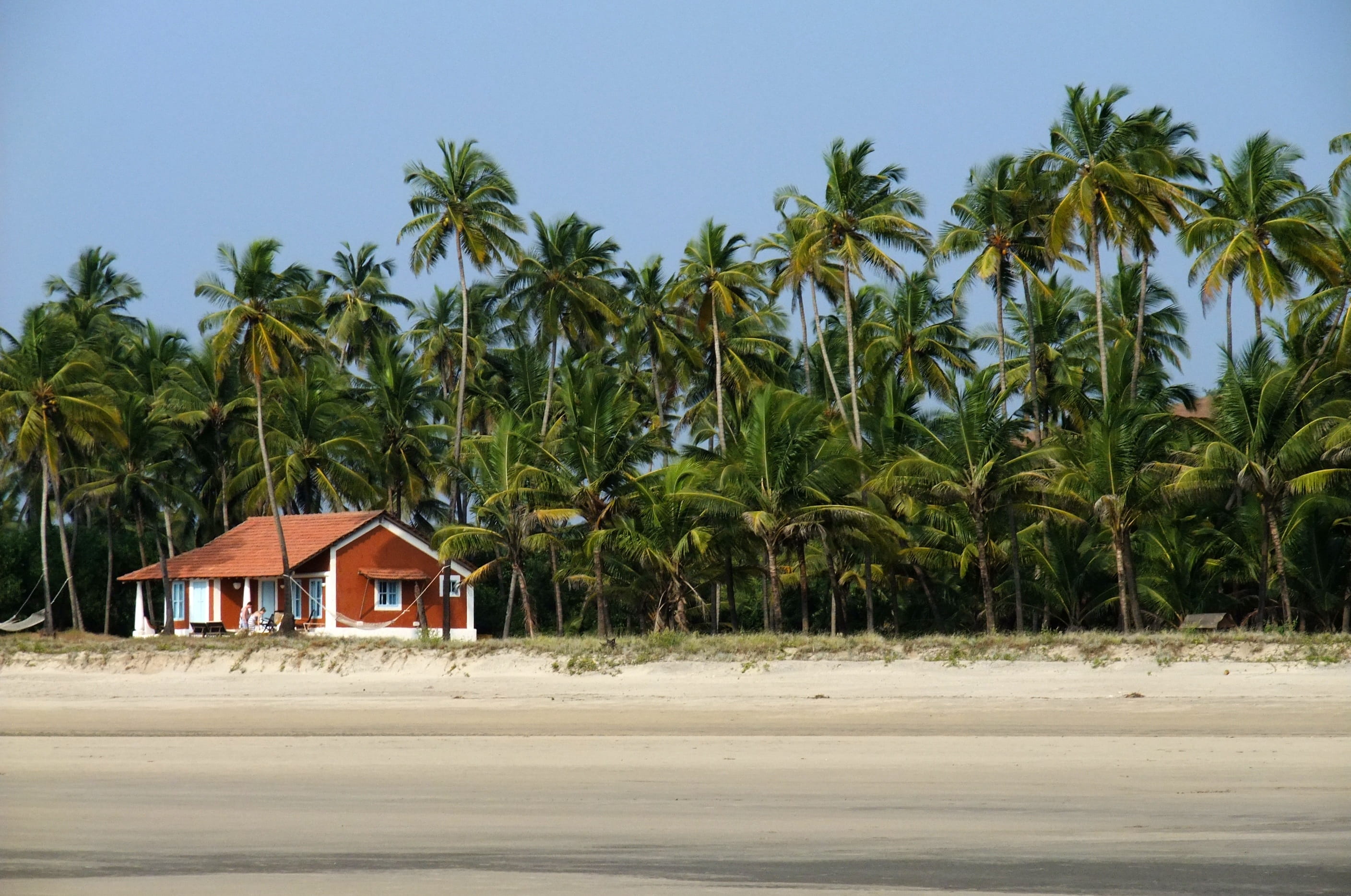 coconut palm tree, Blue, house, beach, palm tree, plant, Sky, blue, outdoors, tropical tree, no people, tree, land, Beach, hut, building exterior, growth, HD Wallpaper