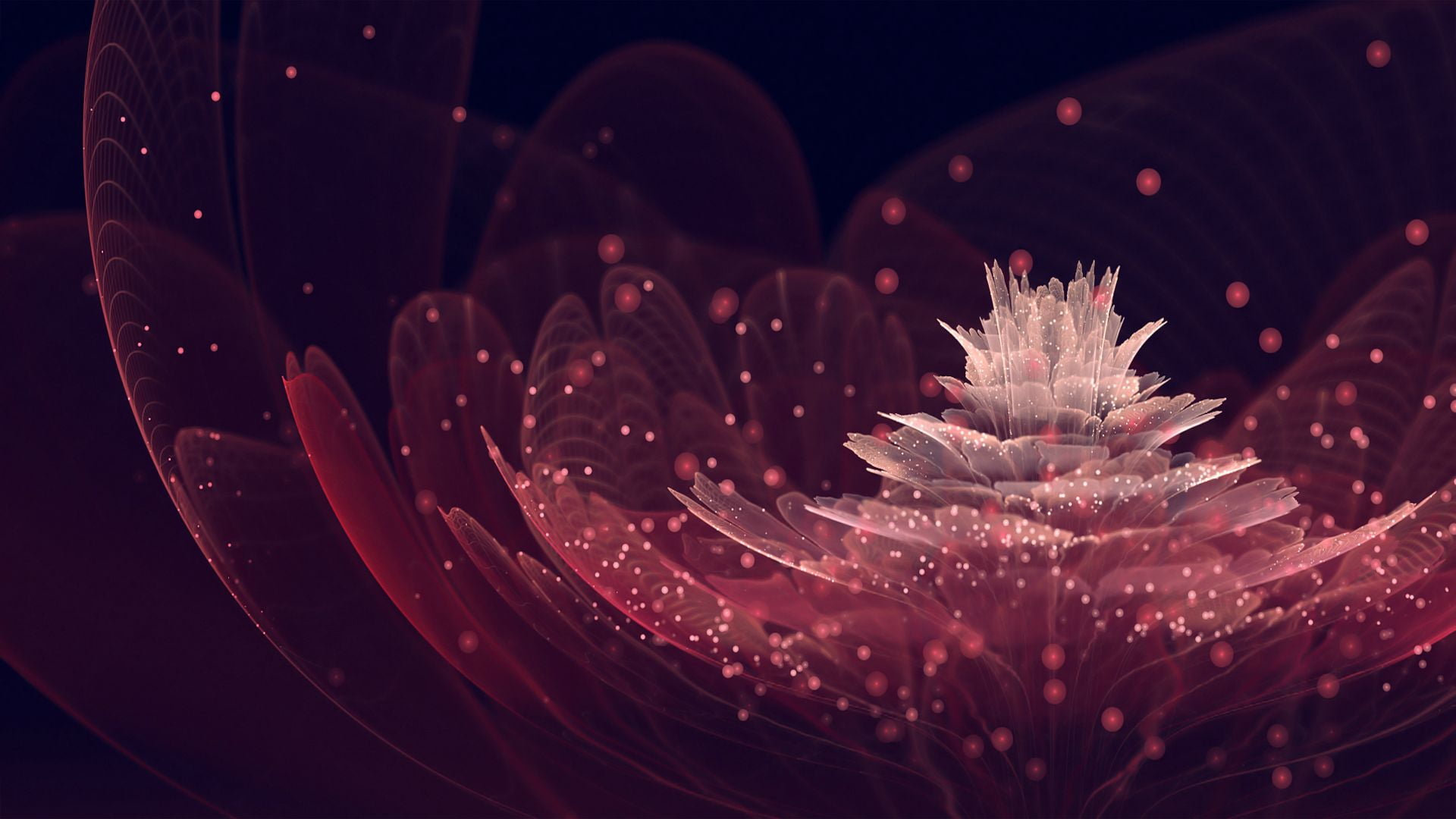 shape, render, black, pattern, light, focus on foreground, inflorescence, shiny, petal, bright, beauty in nature, red, curve, science, 1080P, graphic, HD Wallpaper