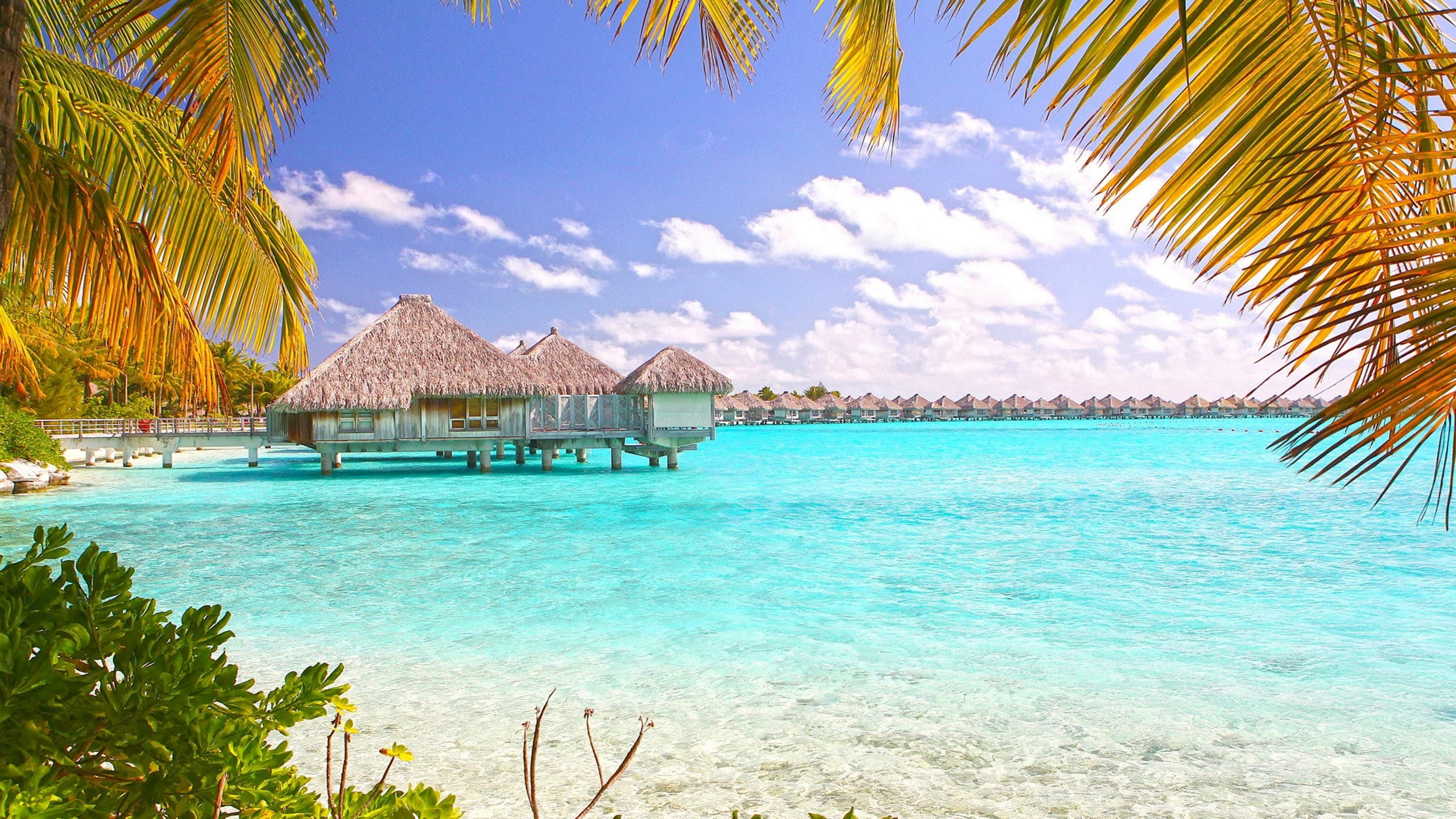  tropical, desktop, bora, beach, 2K, polynesia, HD Wallpaper