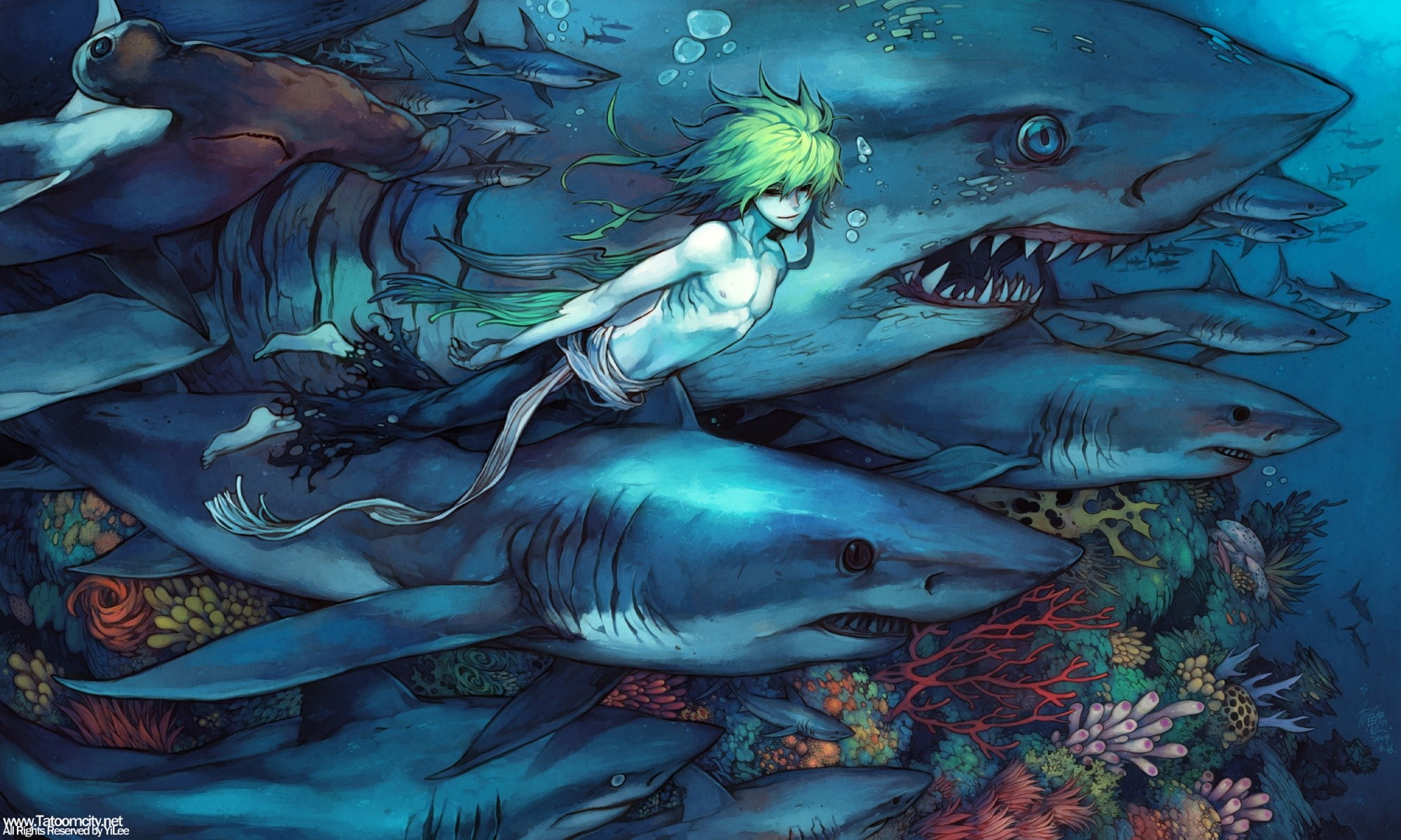 underwater, shark, 1080P, anime, HD Wallpaper