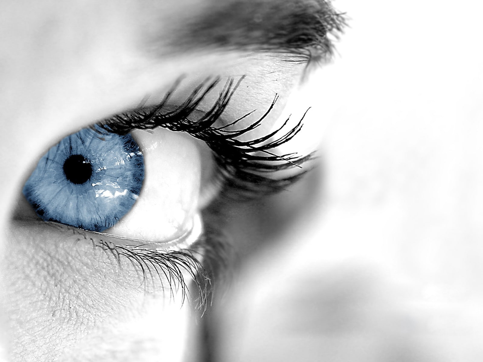 ati, 720P, graphic, Art And Creative, ati radeon graphic, radeon, HD Wallpaper