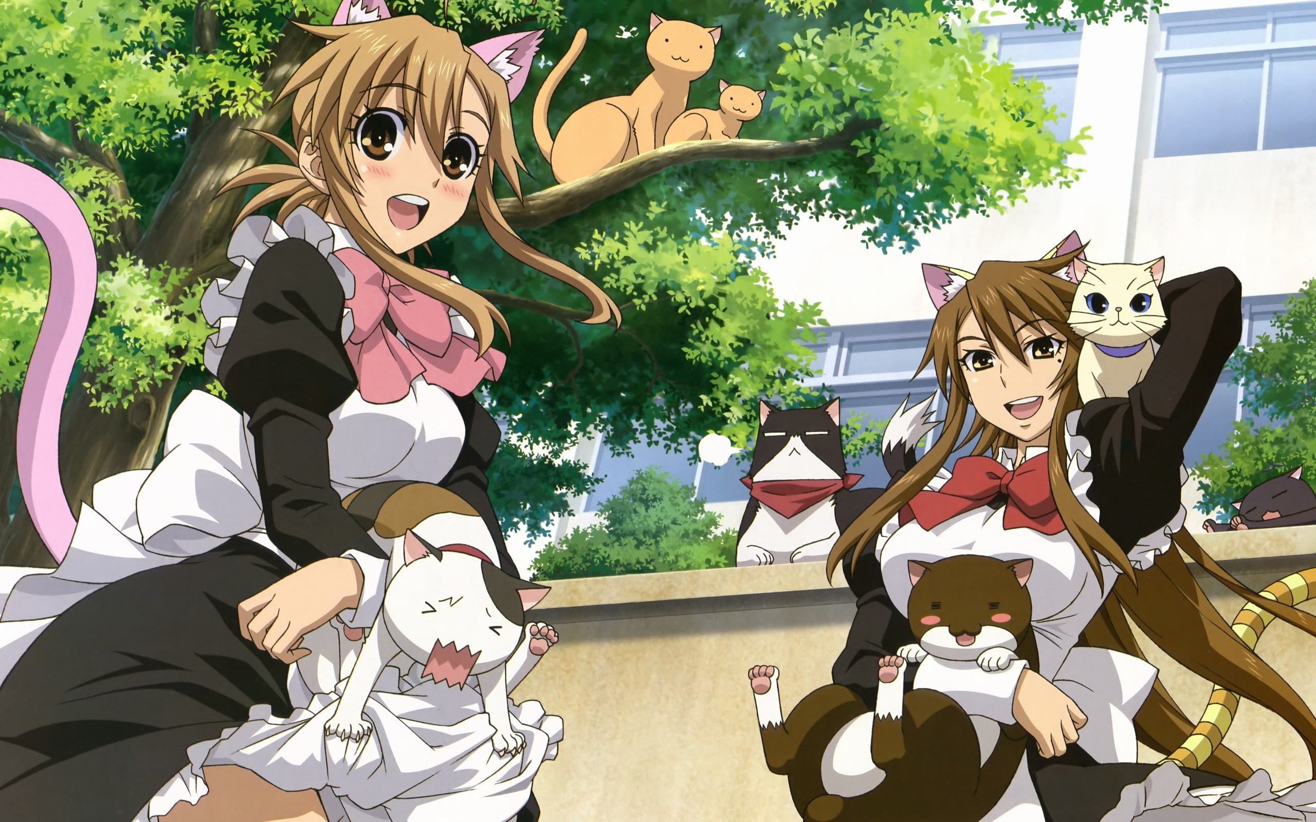 anime, anime girls, Nyan Koi, 2K, HD Wallpaper