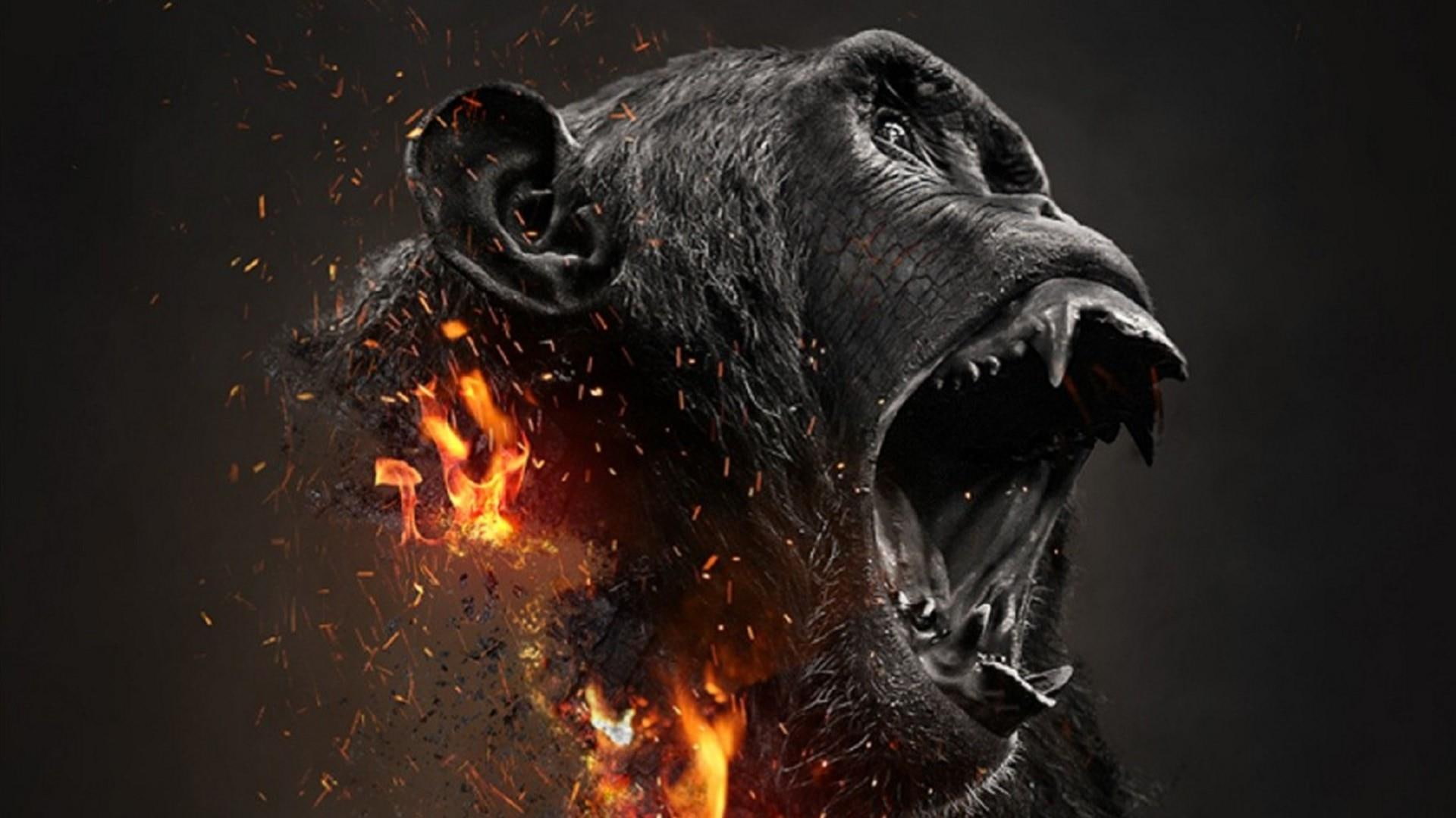 darkness, digital art, 1080P, photoshop art, fire, cool, gorilla, fantasy art, HD Wallpaper