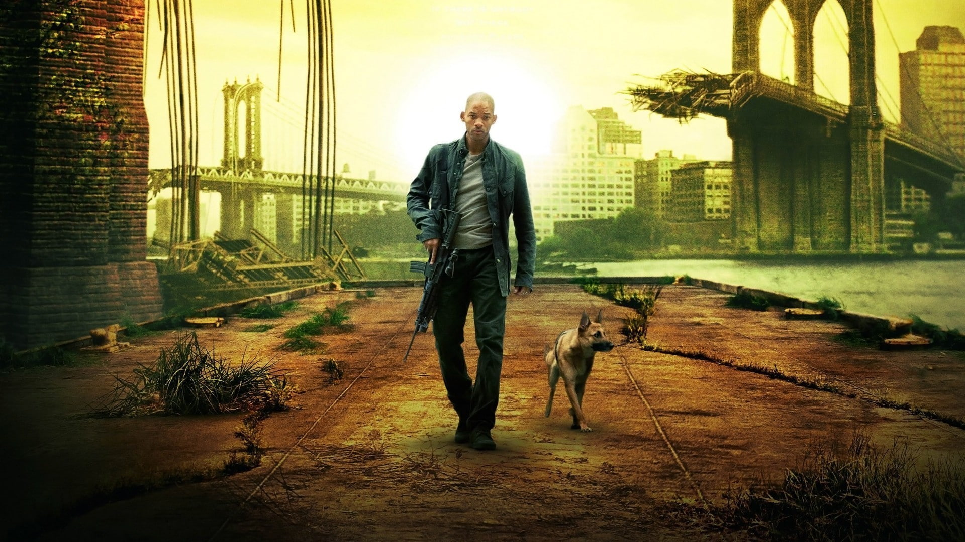 1080P, M4A1, apocalyptic, I Am Legend, movies, Will Smith, HD Wallpaper