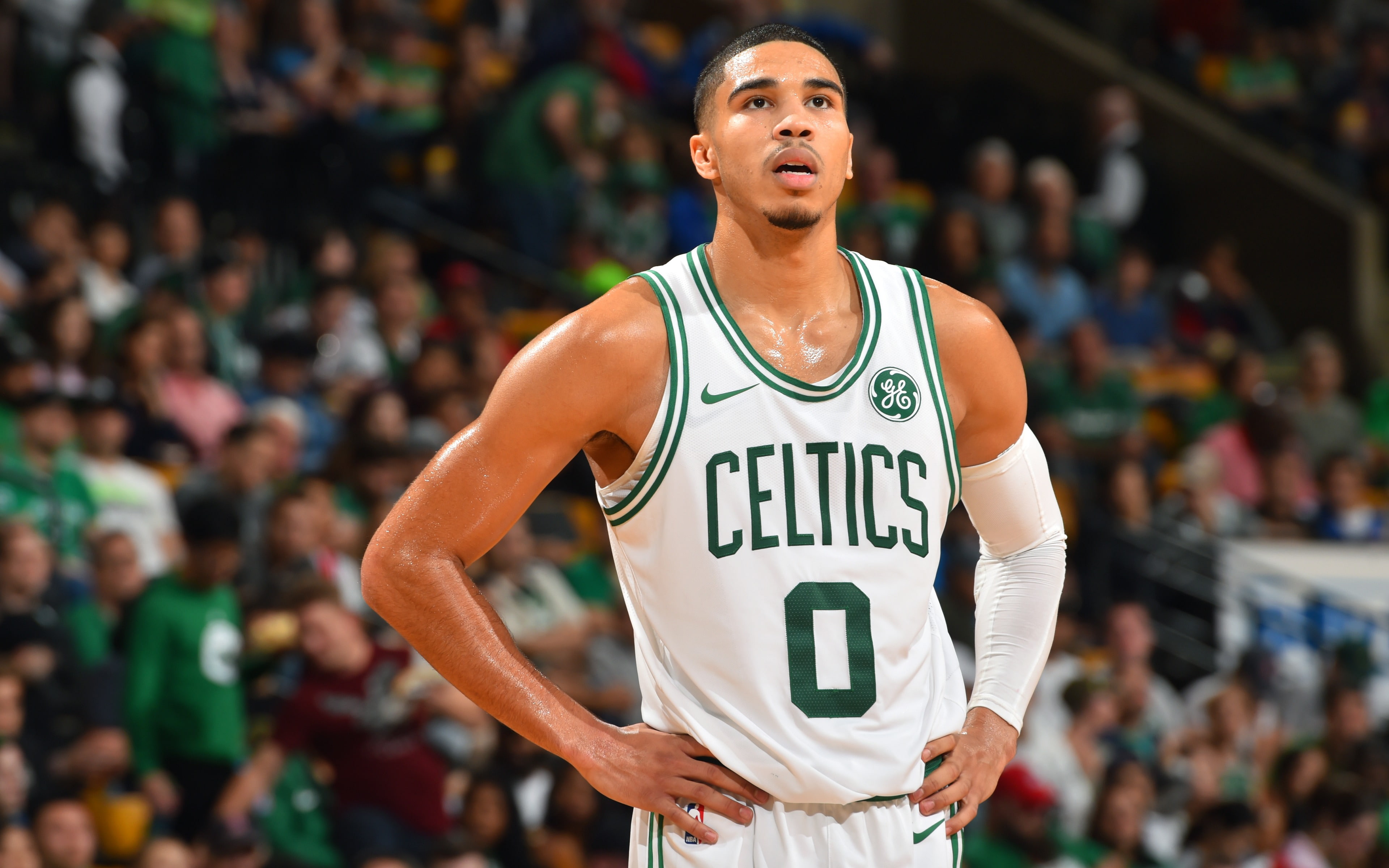 sport, celtics, young adult, crowd, 4K, k, stadium, number, white, standing, basketball uniform, focus on foreground, sportsman, tatum, incidental people, HD Wallpaper