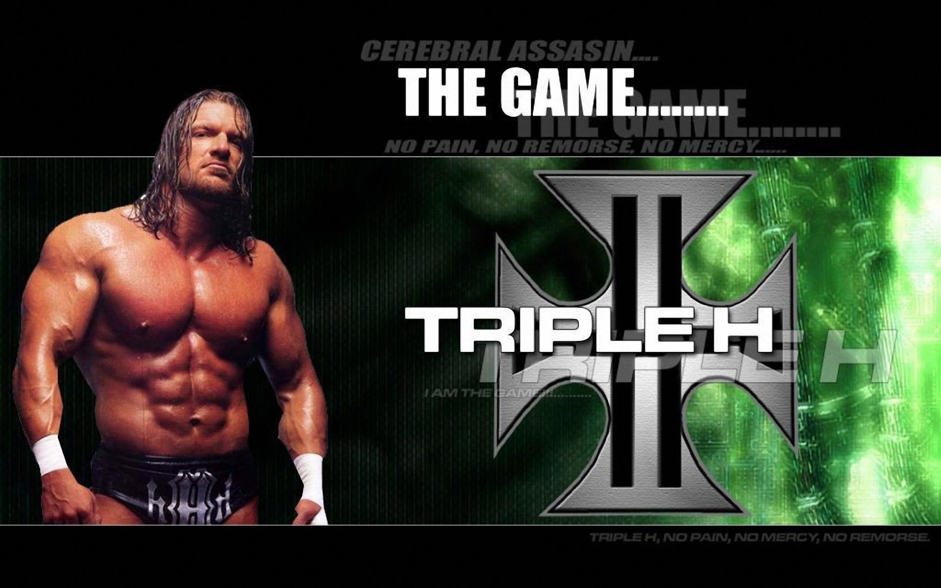 1080P, WWE, chest, sport, sports training, men, males, Triple H, lifestyles, adult, body building, indoors, athlete, shirtless, one person, controller, HD Wallpaper