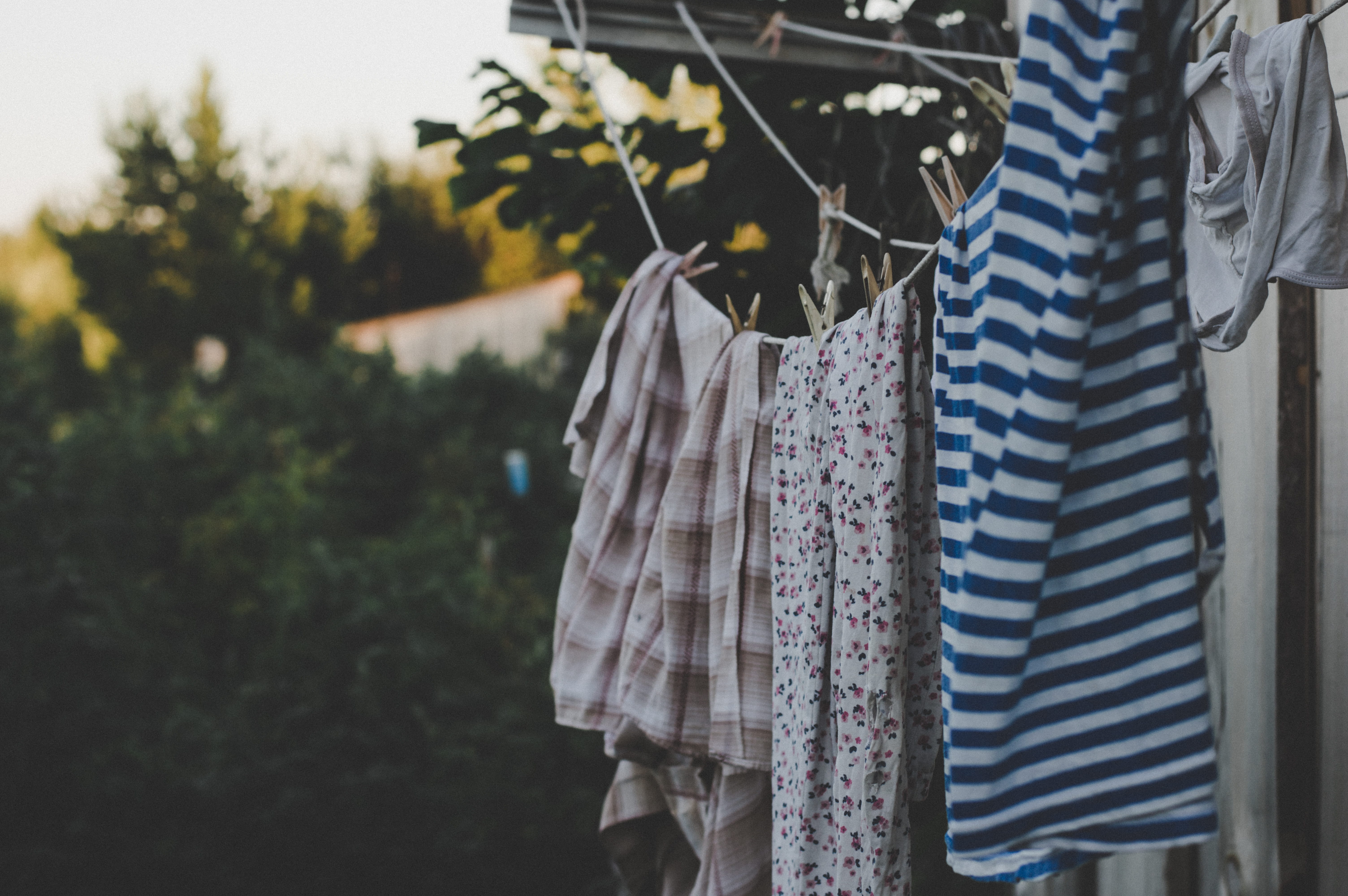 bush, garden, rope, vestido, color, style, coathanger, laundry, choice, elegance, rack, village, garment, clothing, lifestyles, dress, close-up, leaf, outdoors, HD Wallpaper
