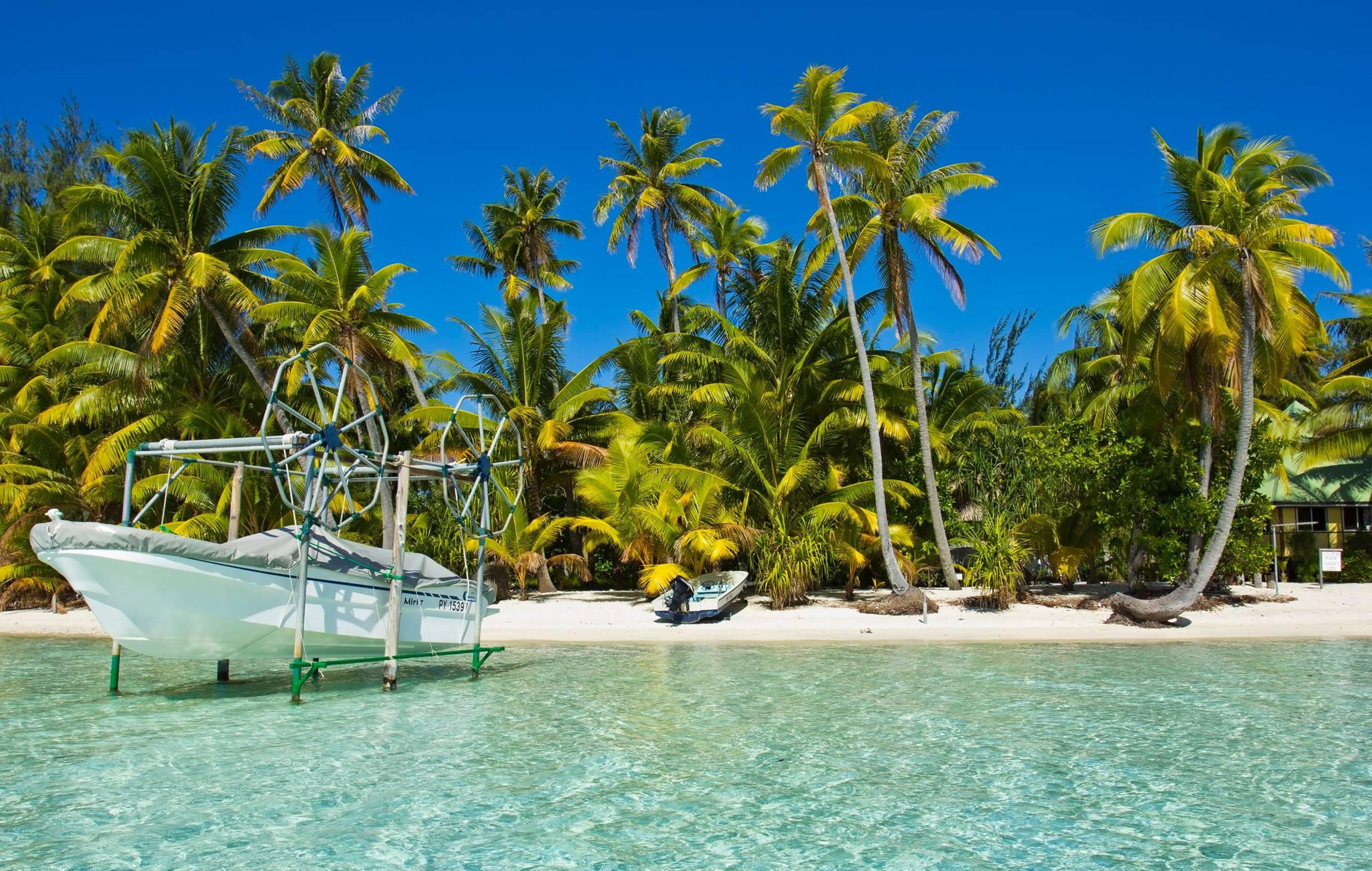 boat, lagoon, green, waters, beautiful, sand, rarotonga, exotic, pacific, beach, clear, blue, south, tropical, trees, 2K, speed, coconut, white, south-pacific, HD Wallpaper